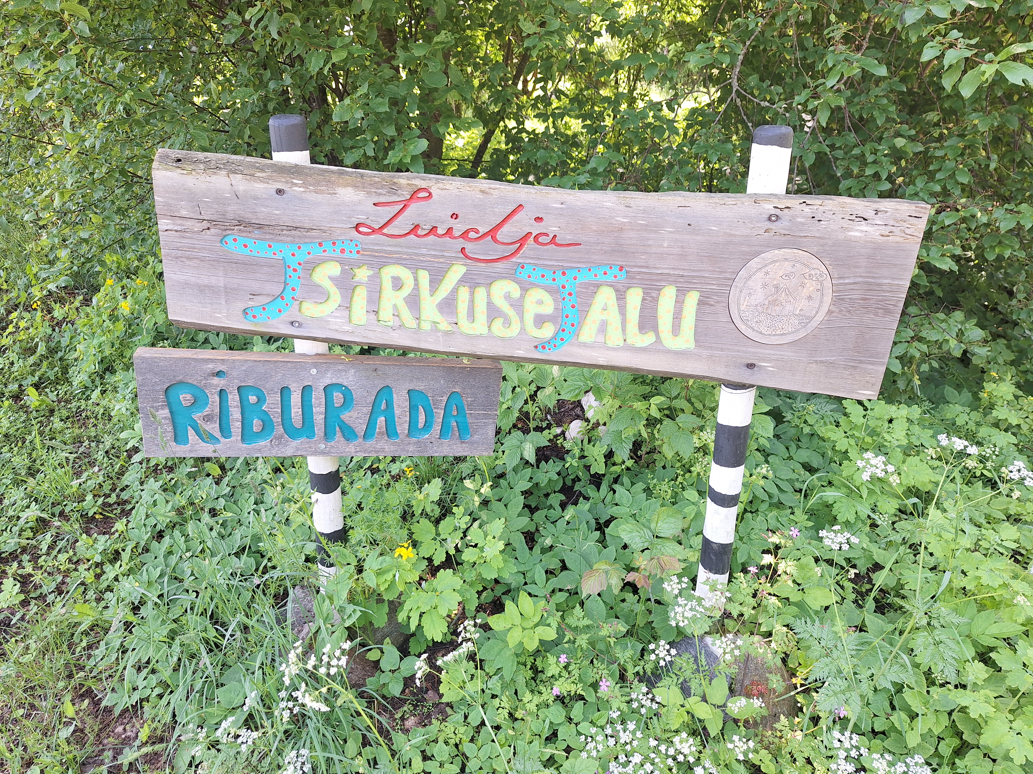 Kaistatunniste