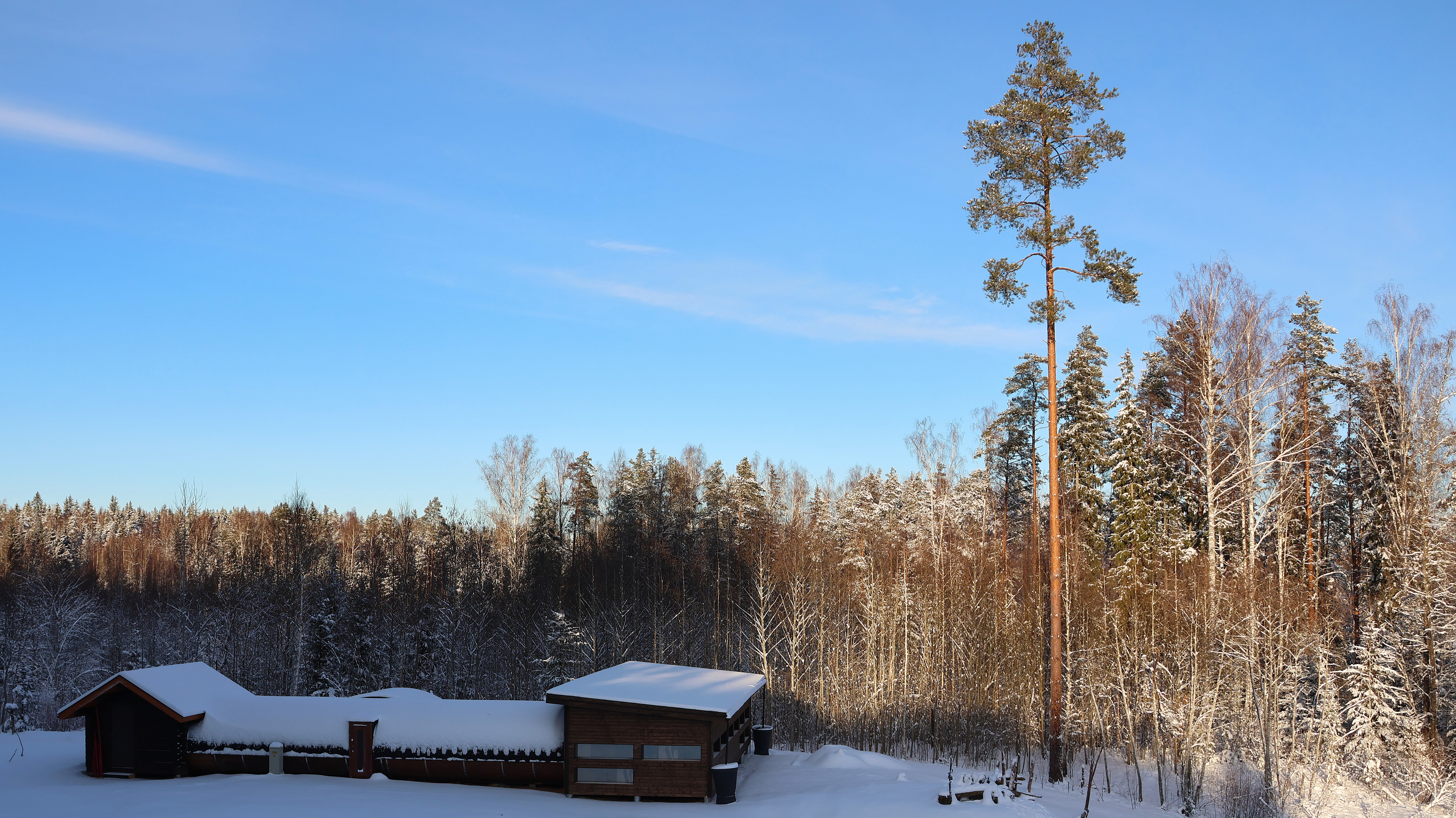 Beobachtungshütte für Naturfotografie im Winter