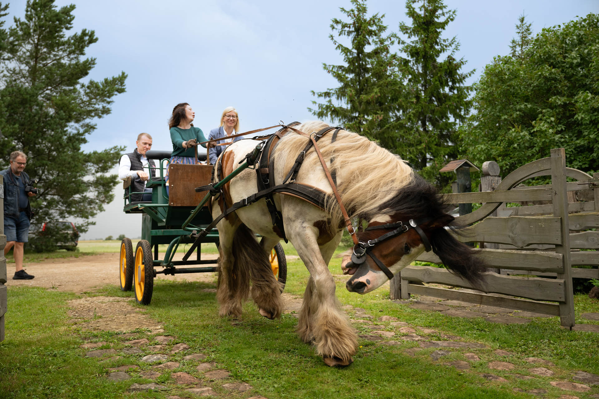Atvērto durvju dienas saimniecībās- Koolmestri saimniecība 2024. gadā