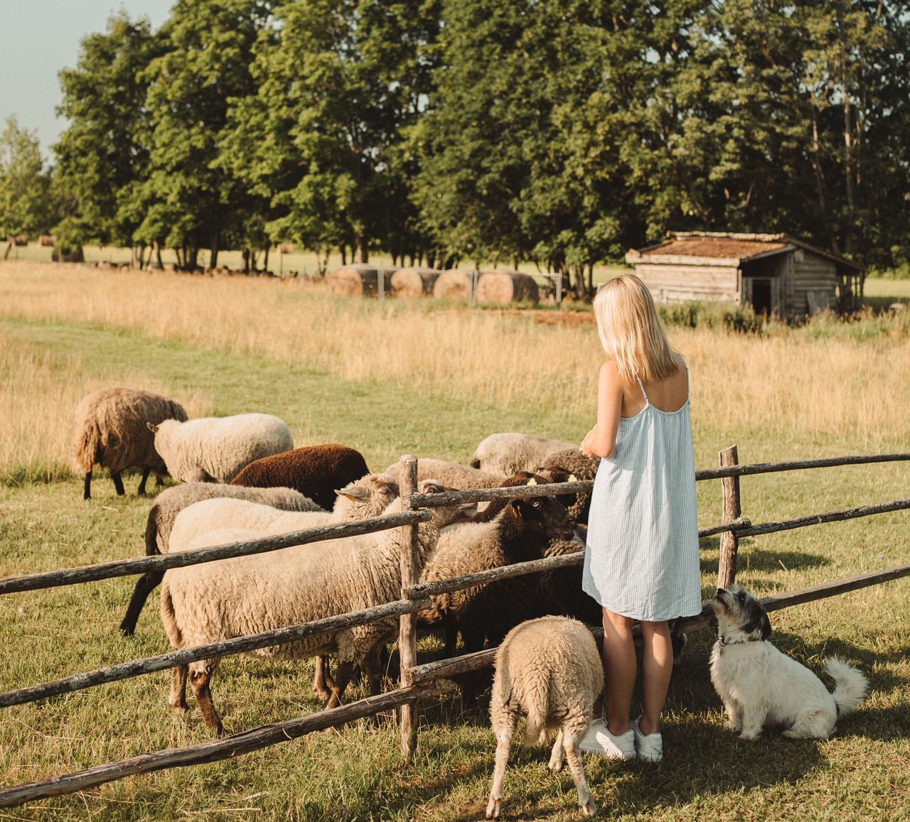 Igaunijas lauksaimniecības dzīvnieki
