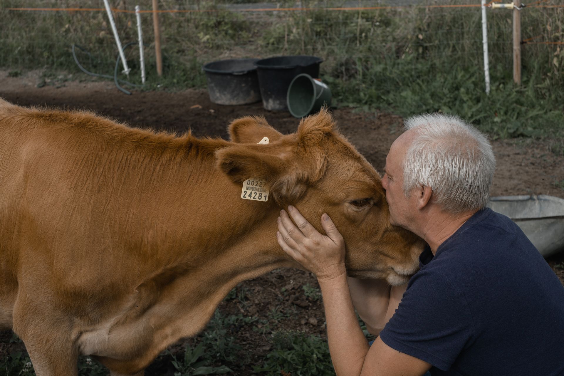 Igaunijas piena saimniecības apmeklējums