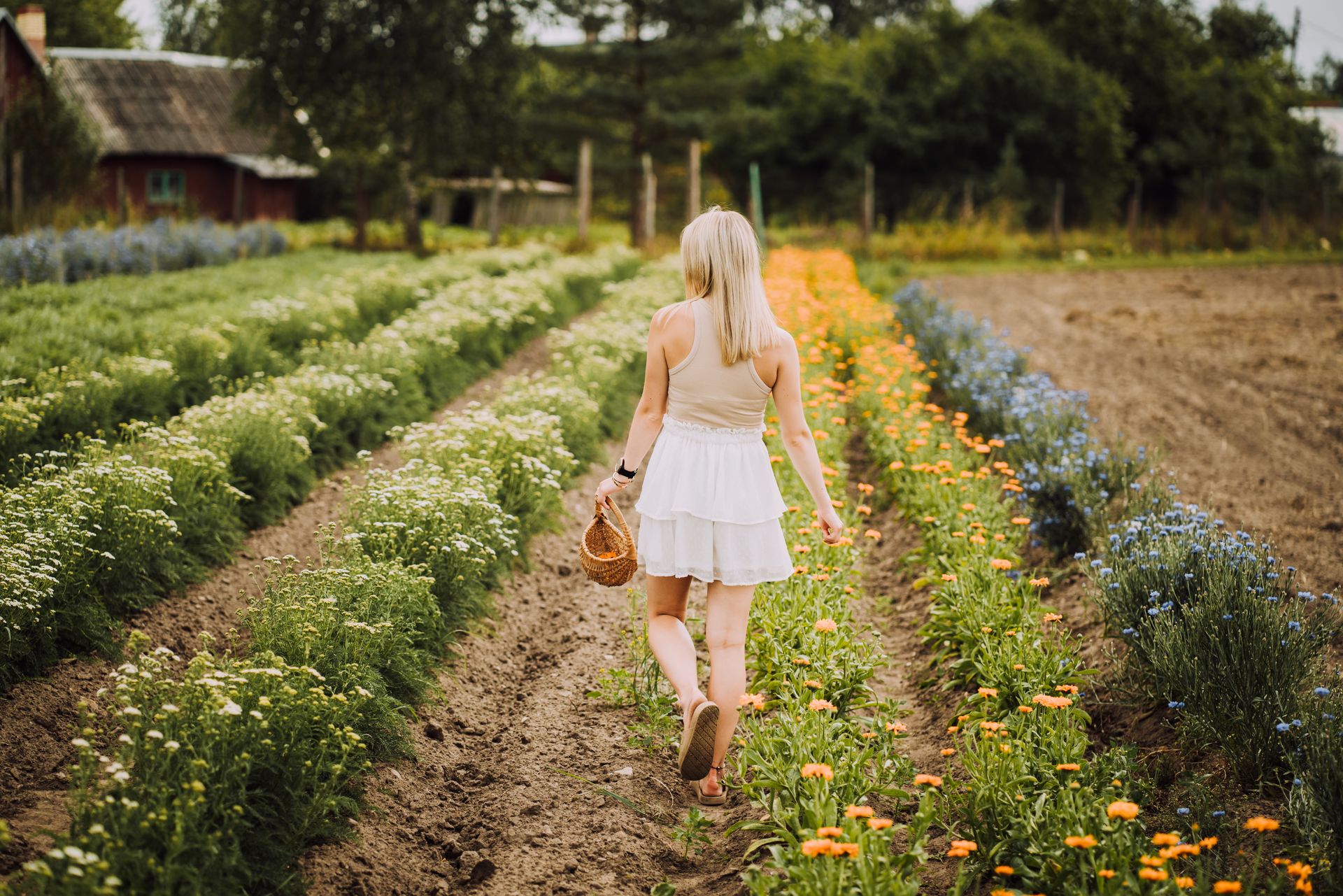 Igaunijas ārstniecības un garšaugu saimniecība