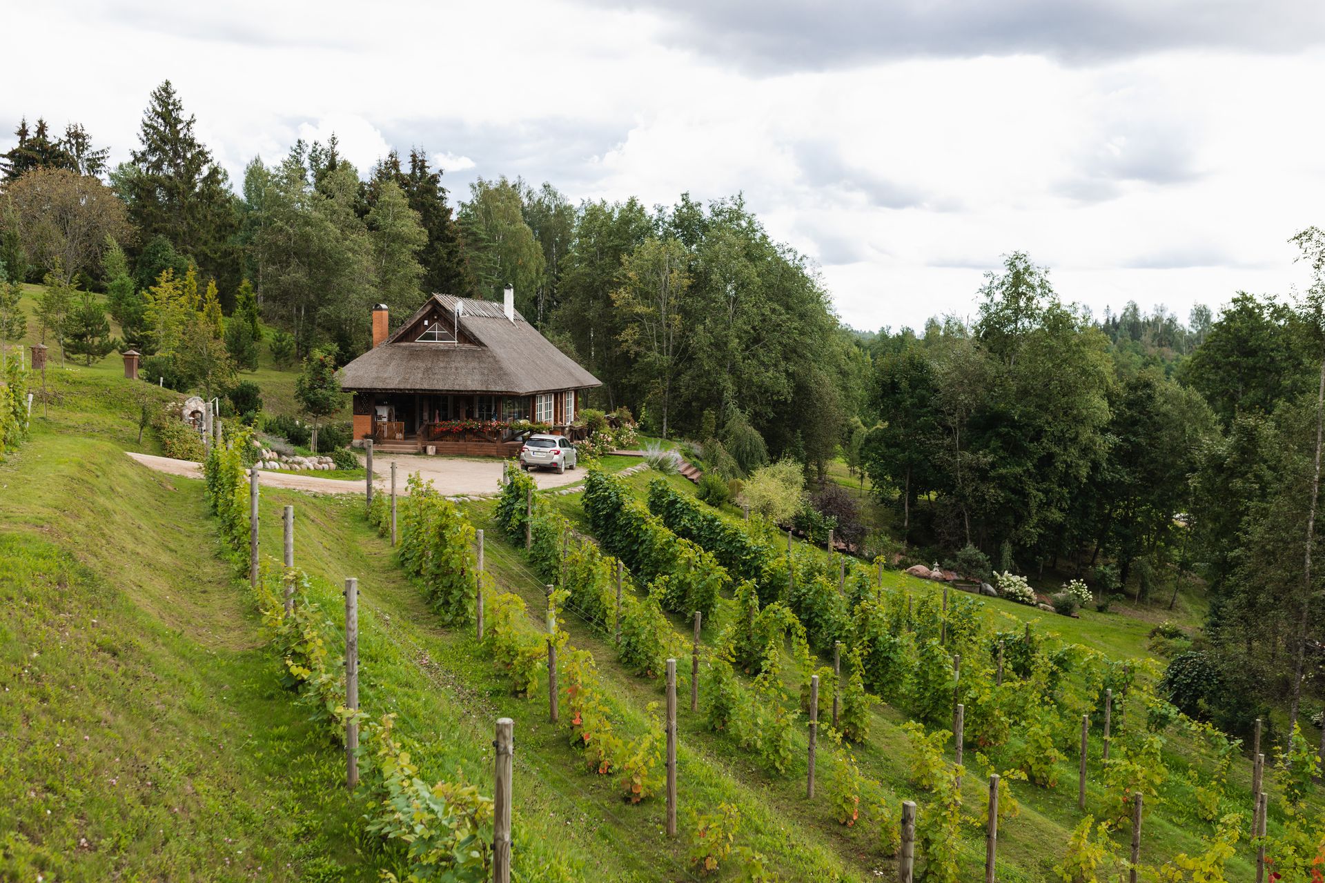 Igaunijas vīnkopība, vīna ražošana