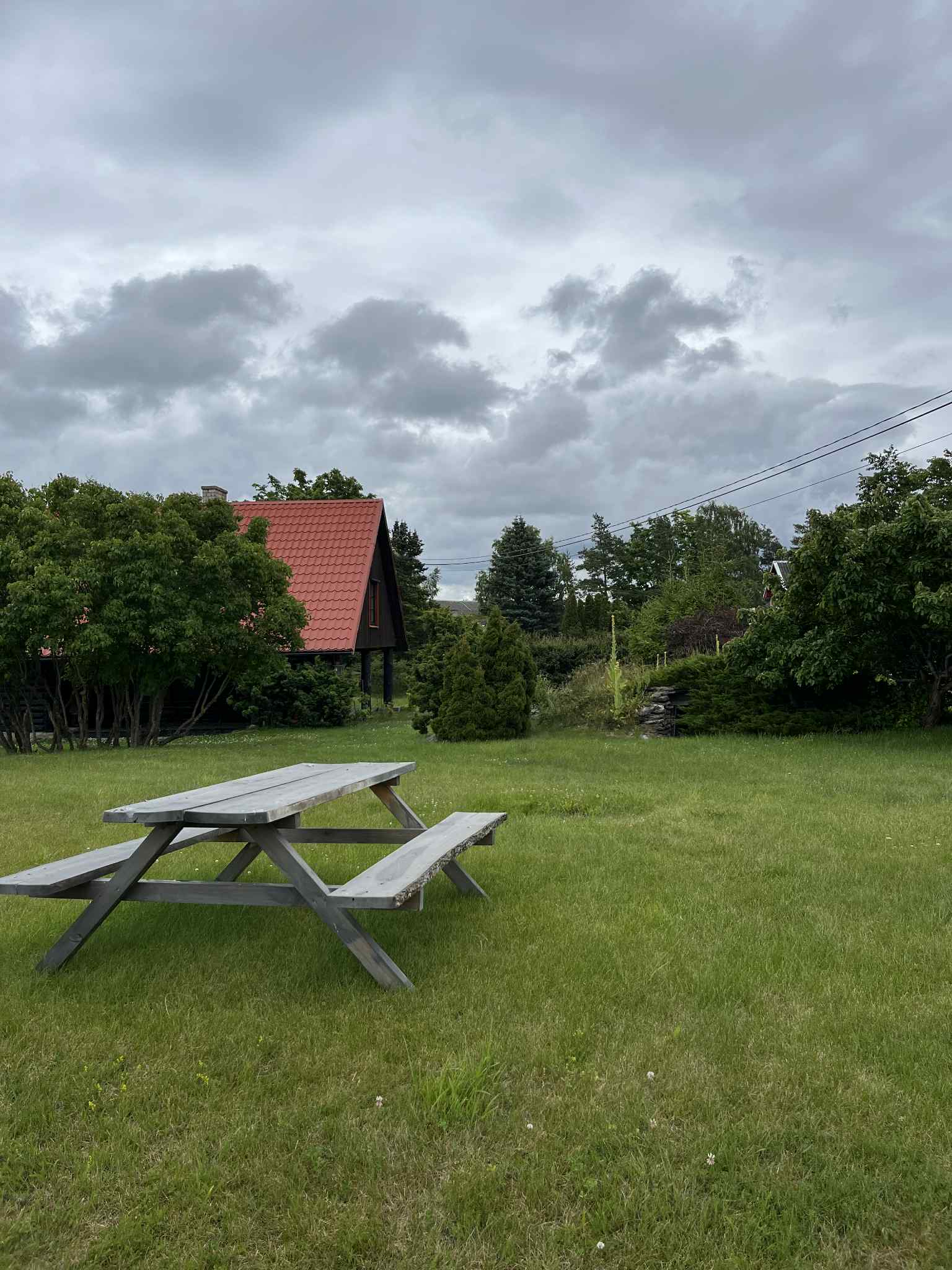 Üldvaade