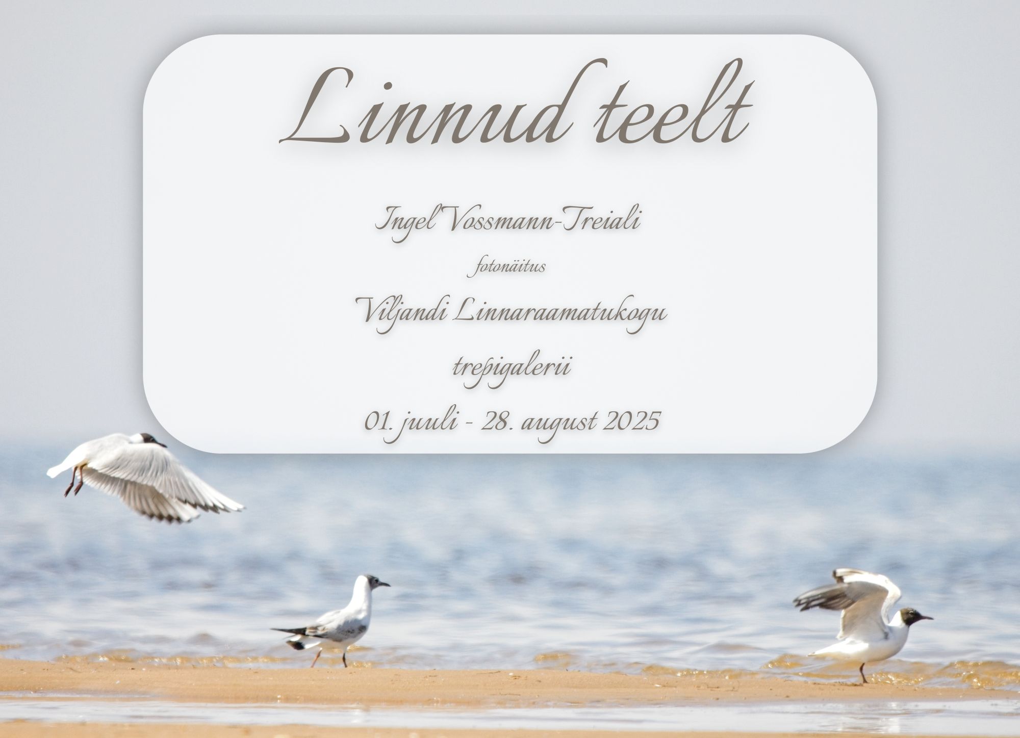 Fotonäitus "Linnud teelt" plakat