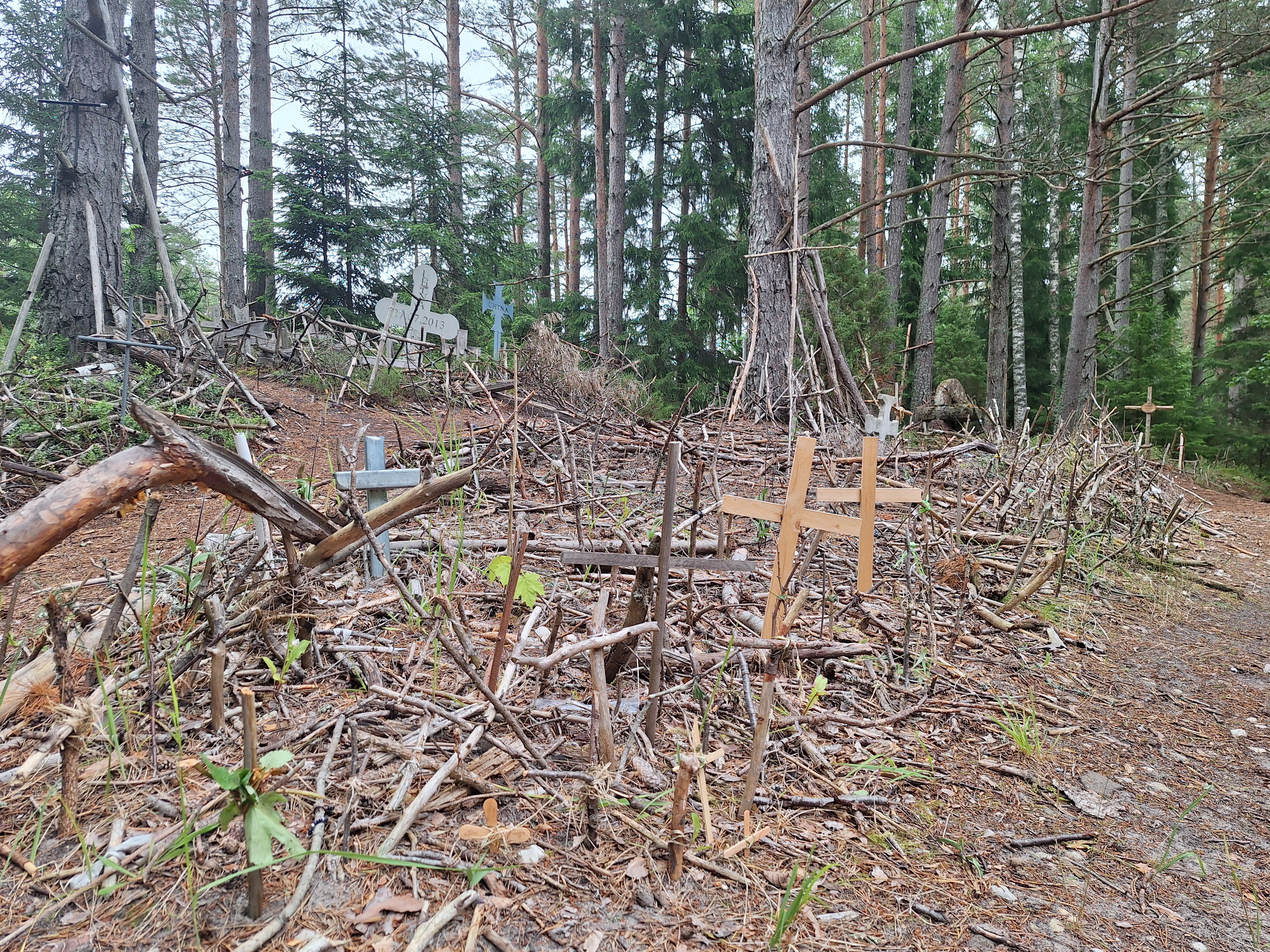 Ristimägi