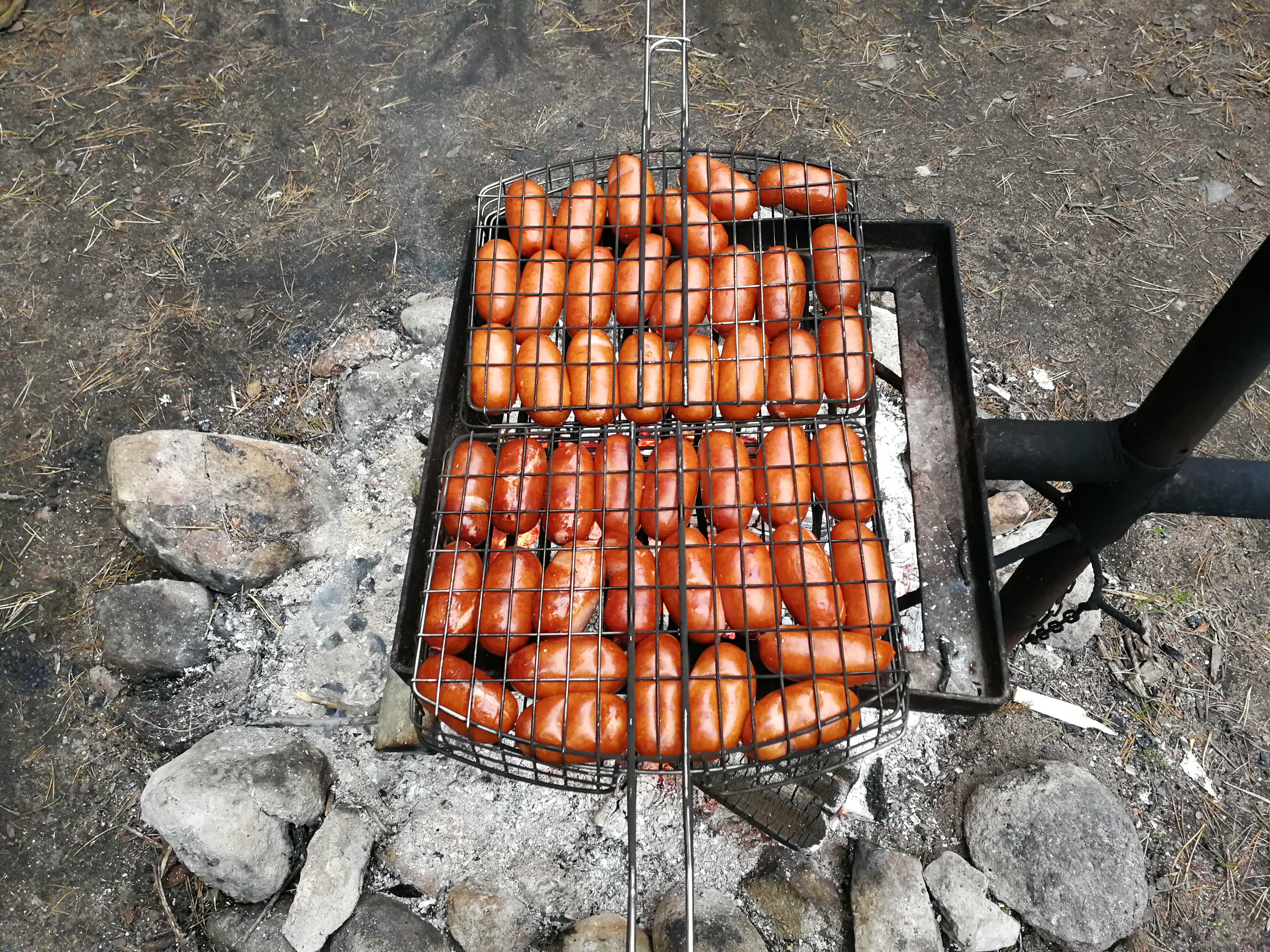 Kõnnu toidupaus
