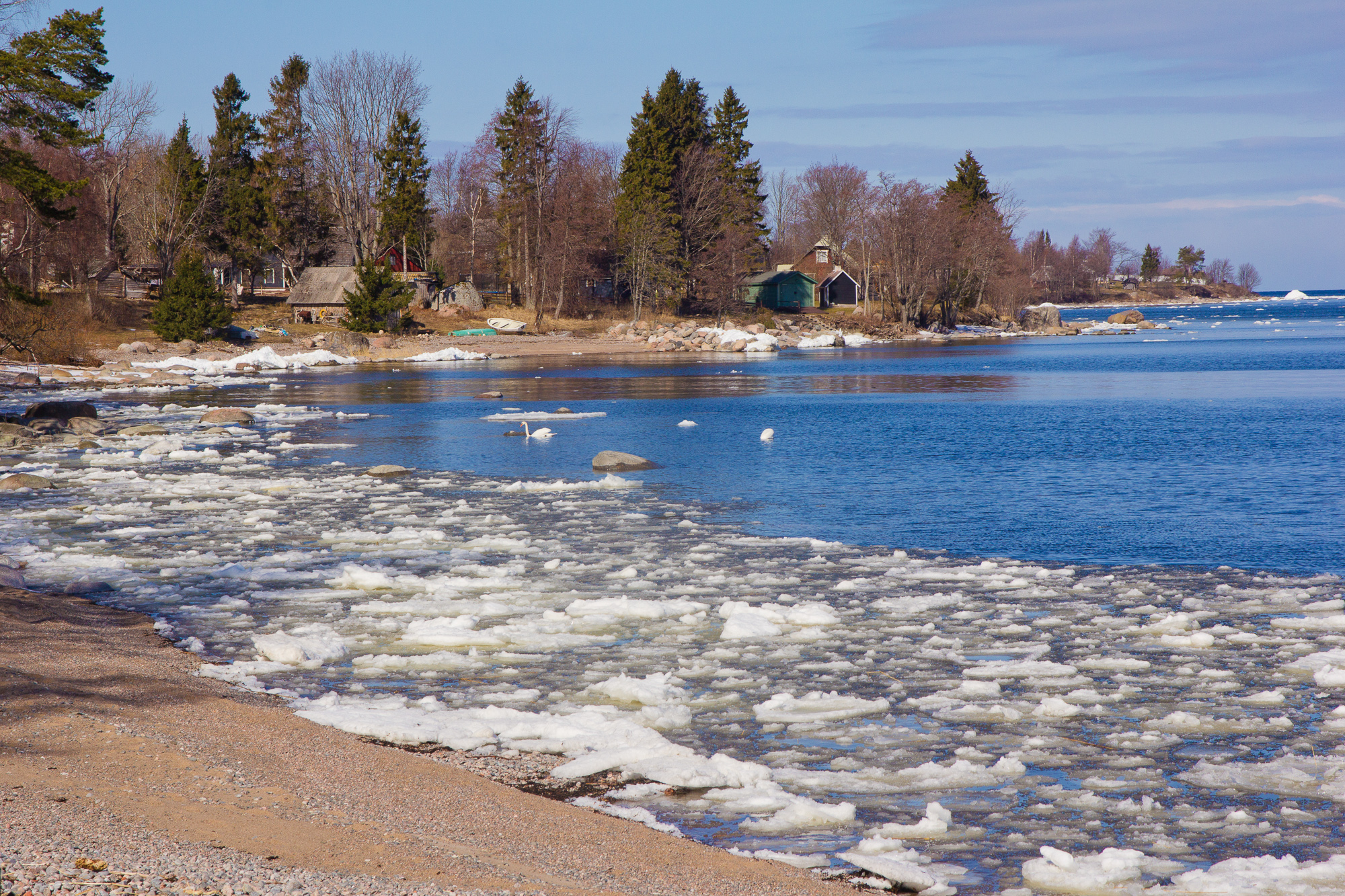 Lahemaa rahvusapark talevle