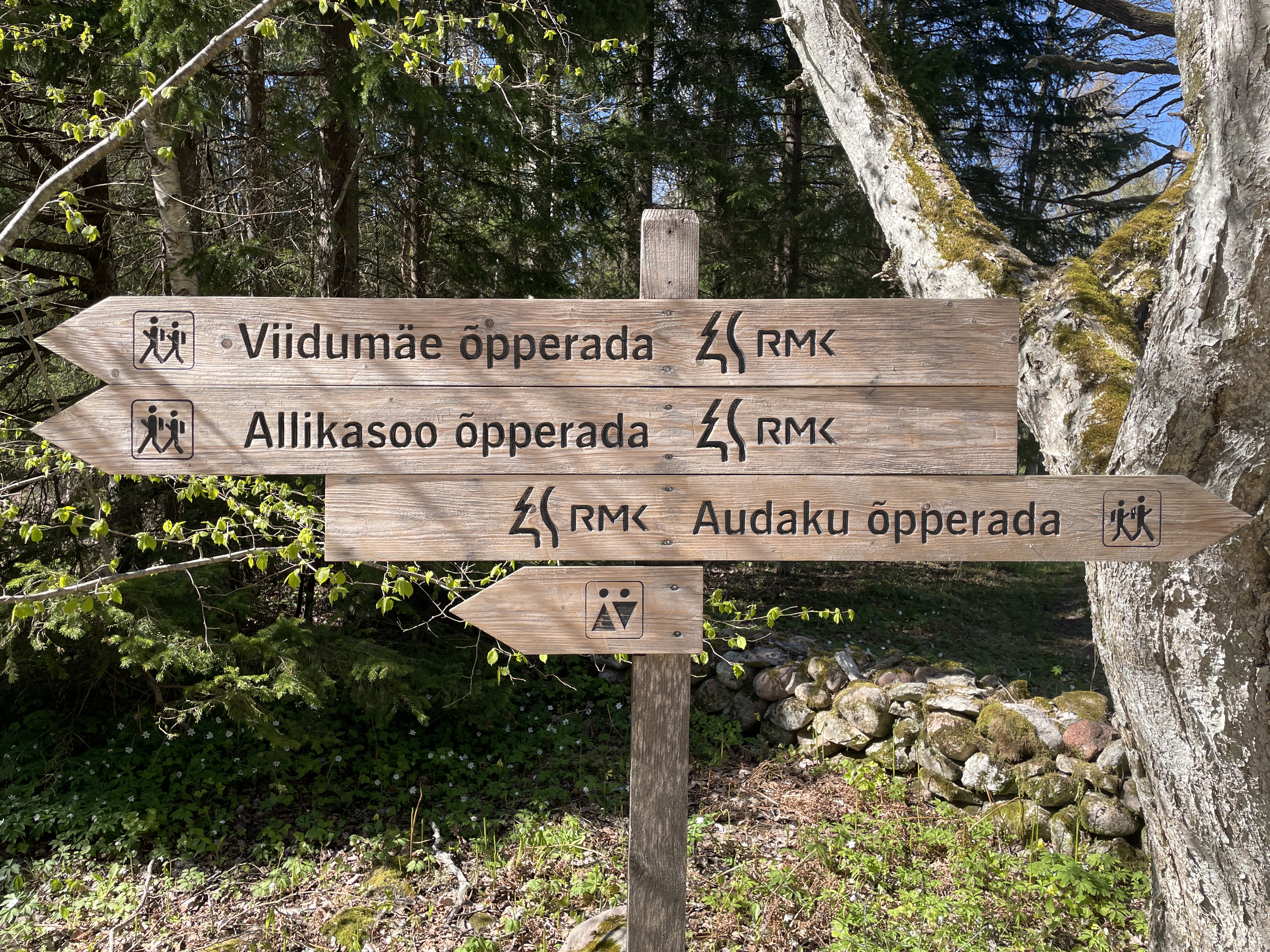 Viidad