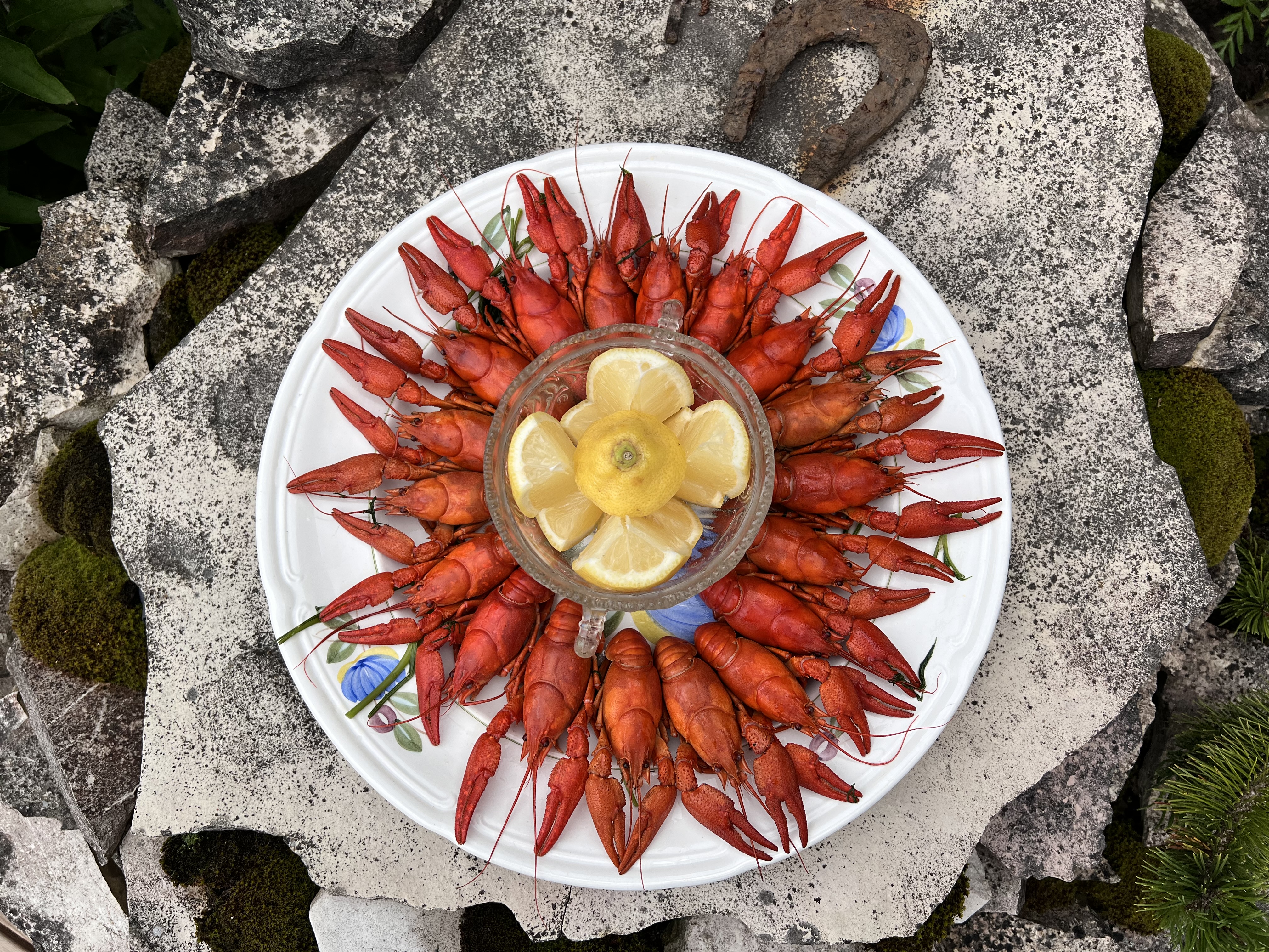 Eating crayfish at Vähitares