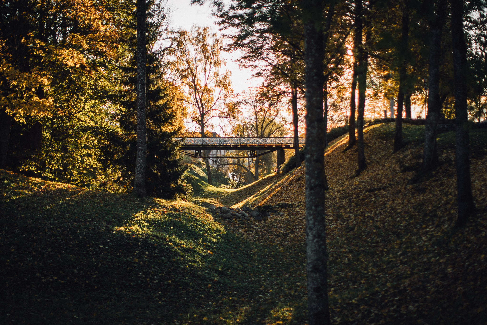 Viljandi lossipark ehk lossimäed sügisel