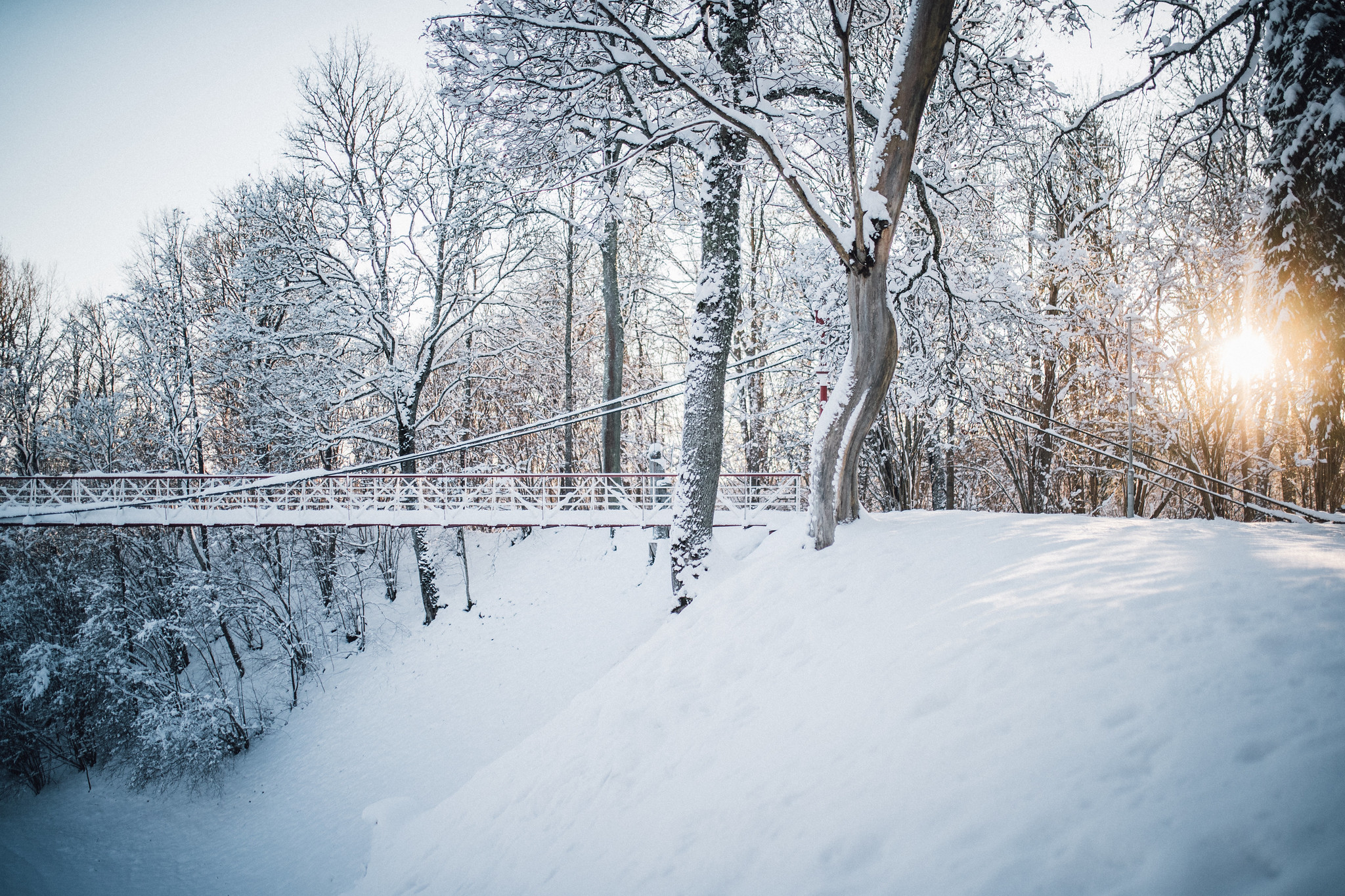 Viljandi losspark talvel päikese taustal