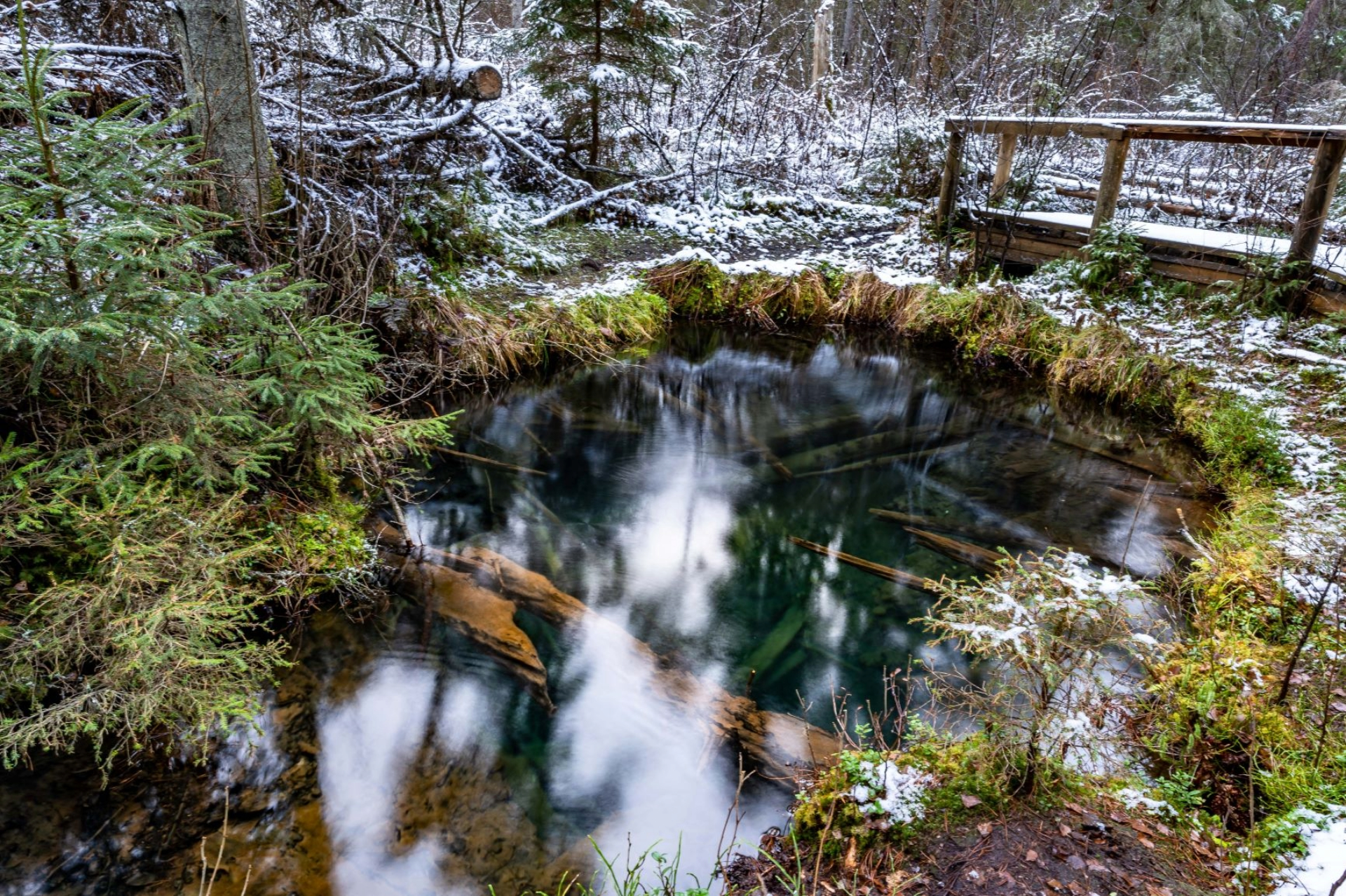 The western section of Endla Nature Reserve is home to the Norra-Oostriku springs: nearly 40 springs of different groups are located next to a 10 km s