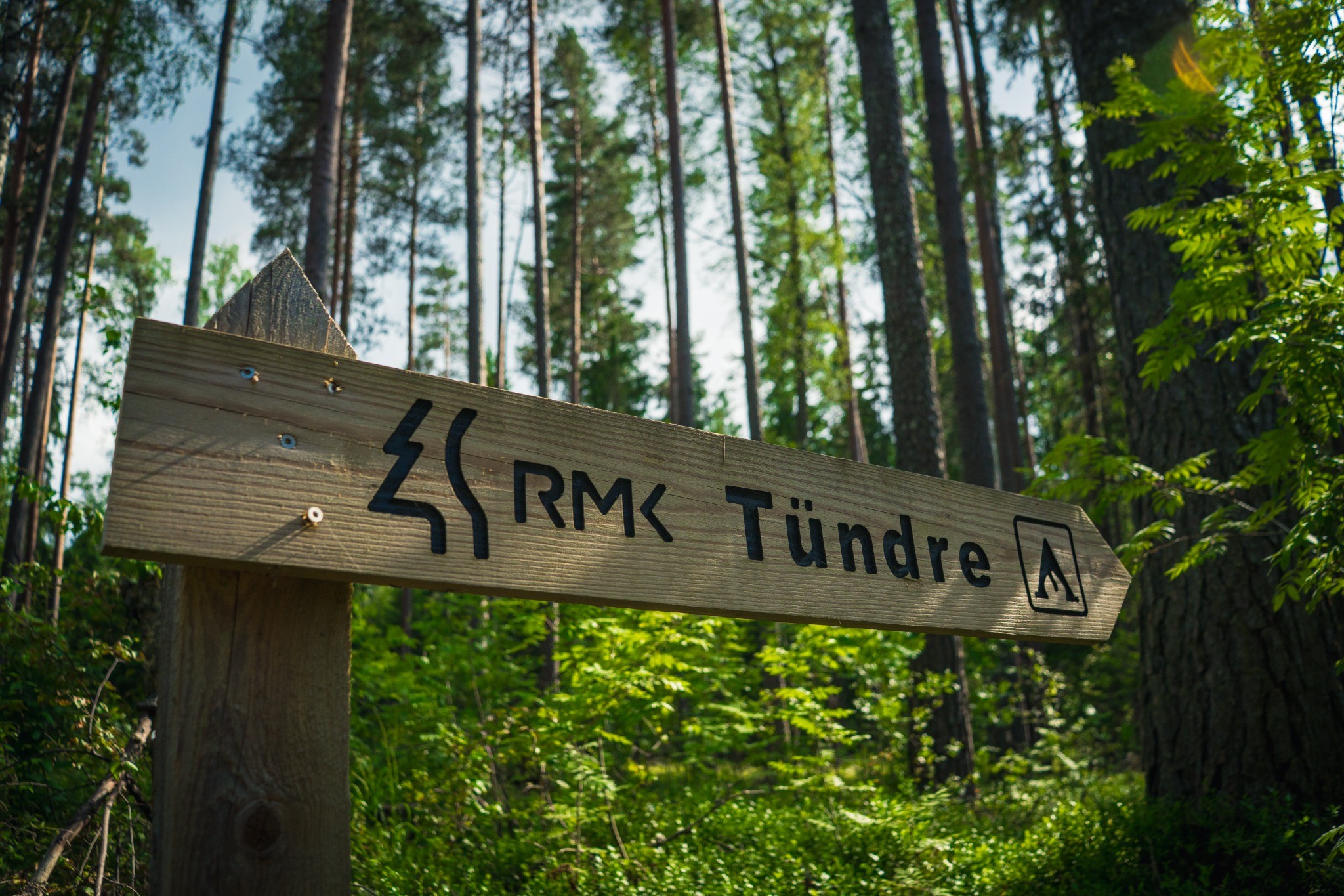 Tündre järve lõkkekoht ja looduskaitseala