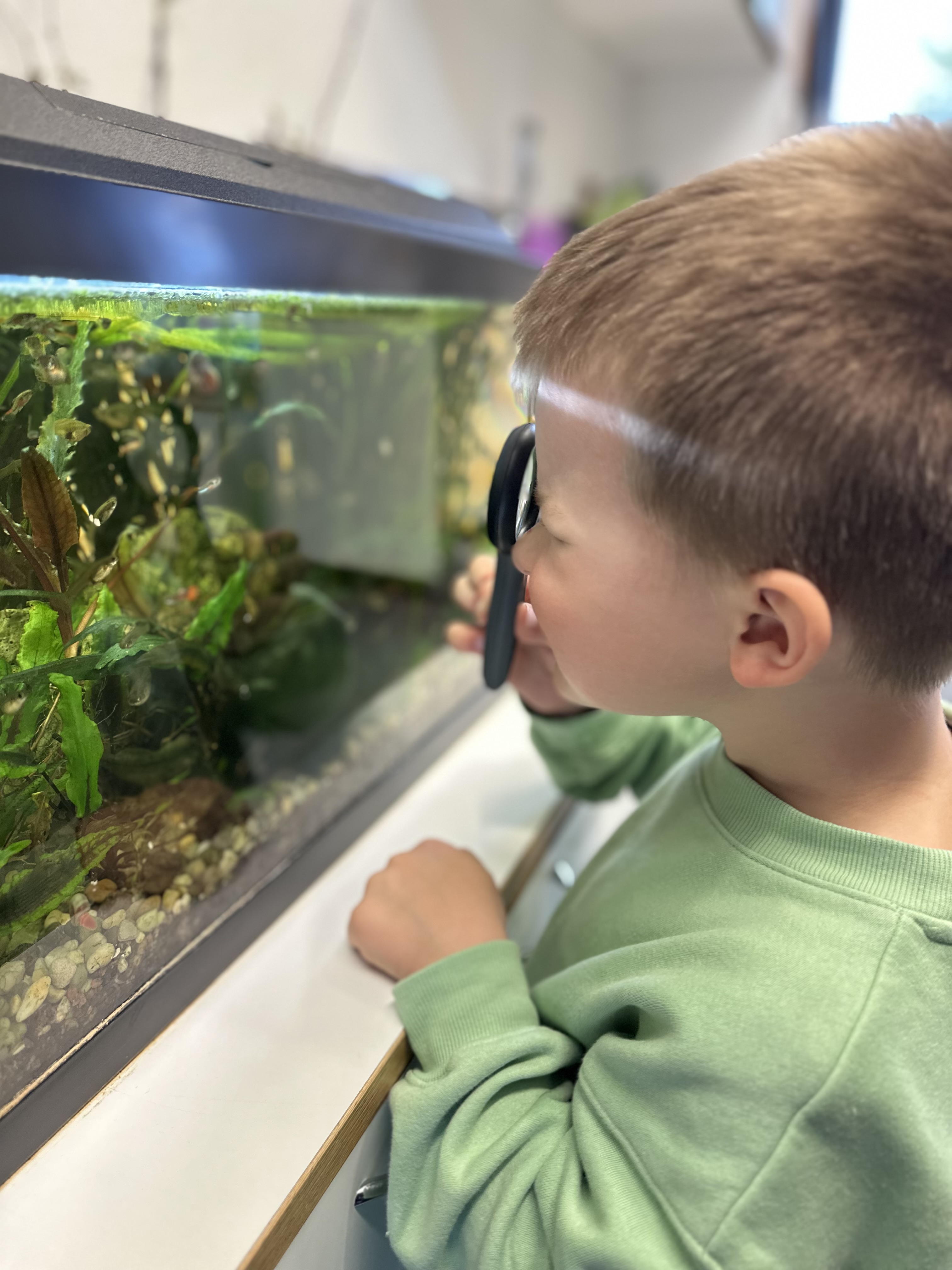 Guided tour of Tartu Nature House, discovering underwater world