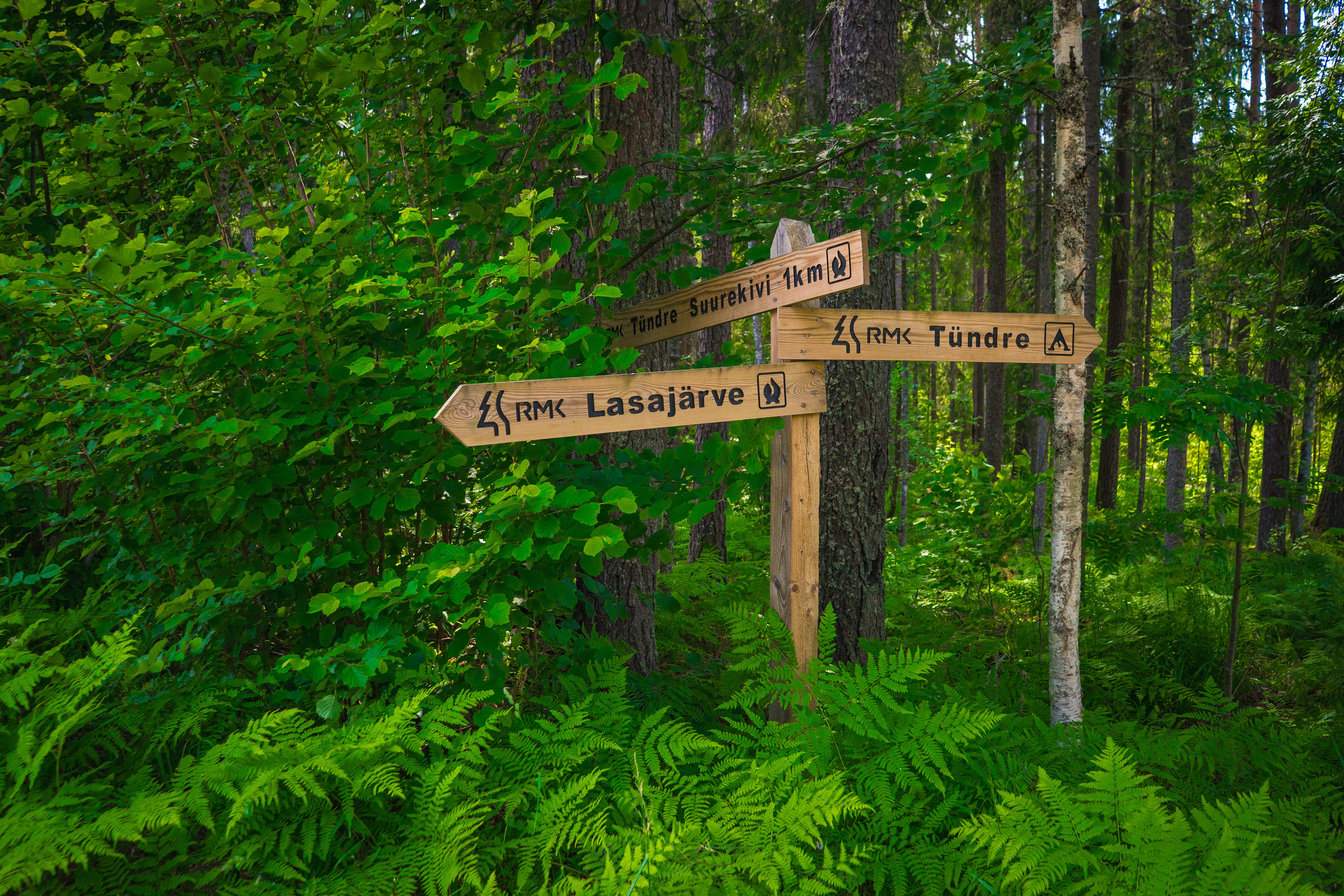 Koorküla Valgjärv ja lõkkekohad