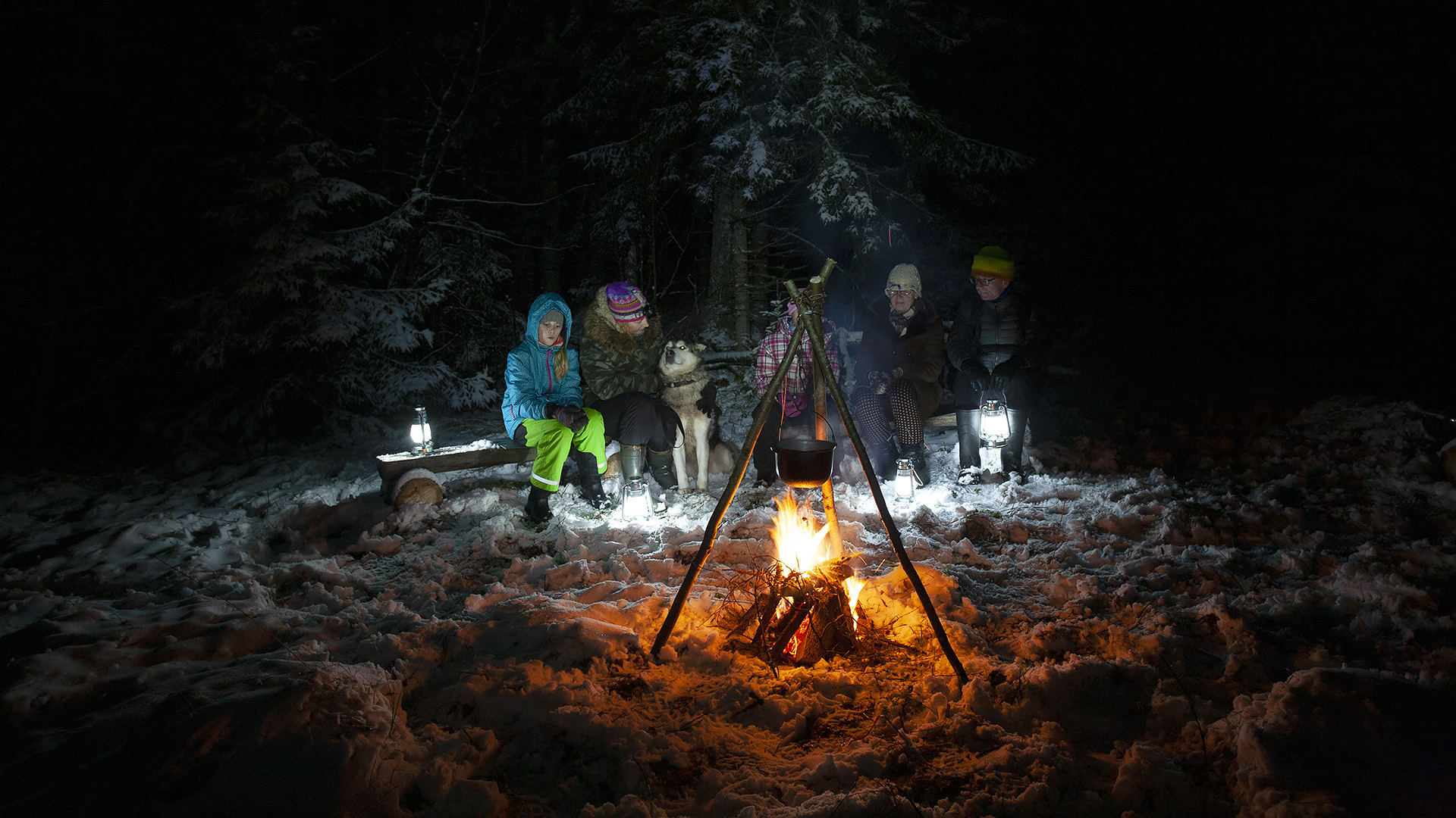 A lantern hike with sled dogs in the snowy forests of Tartu County