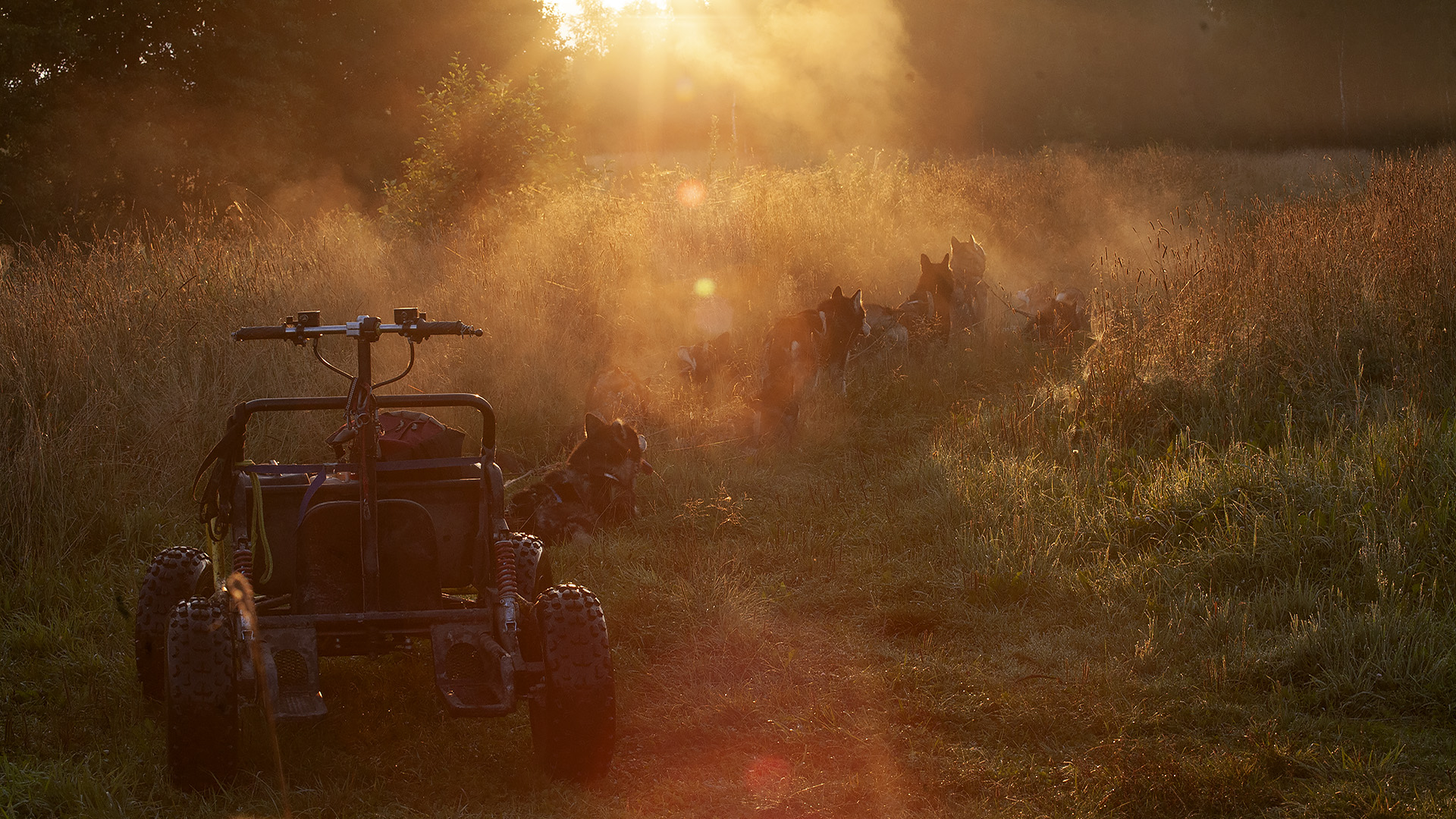 Kelgukoerte võistlusrakend udus