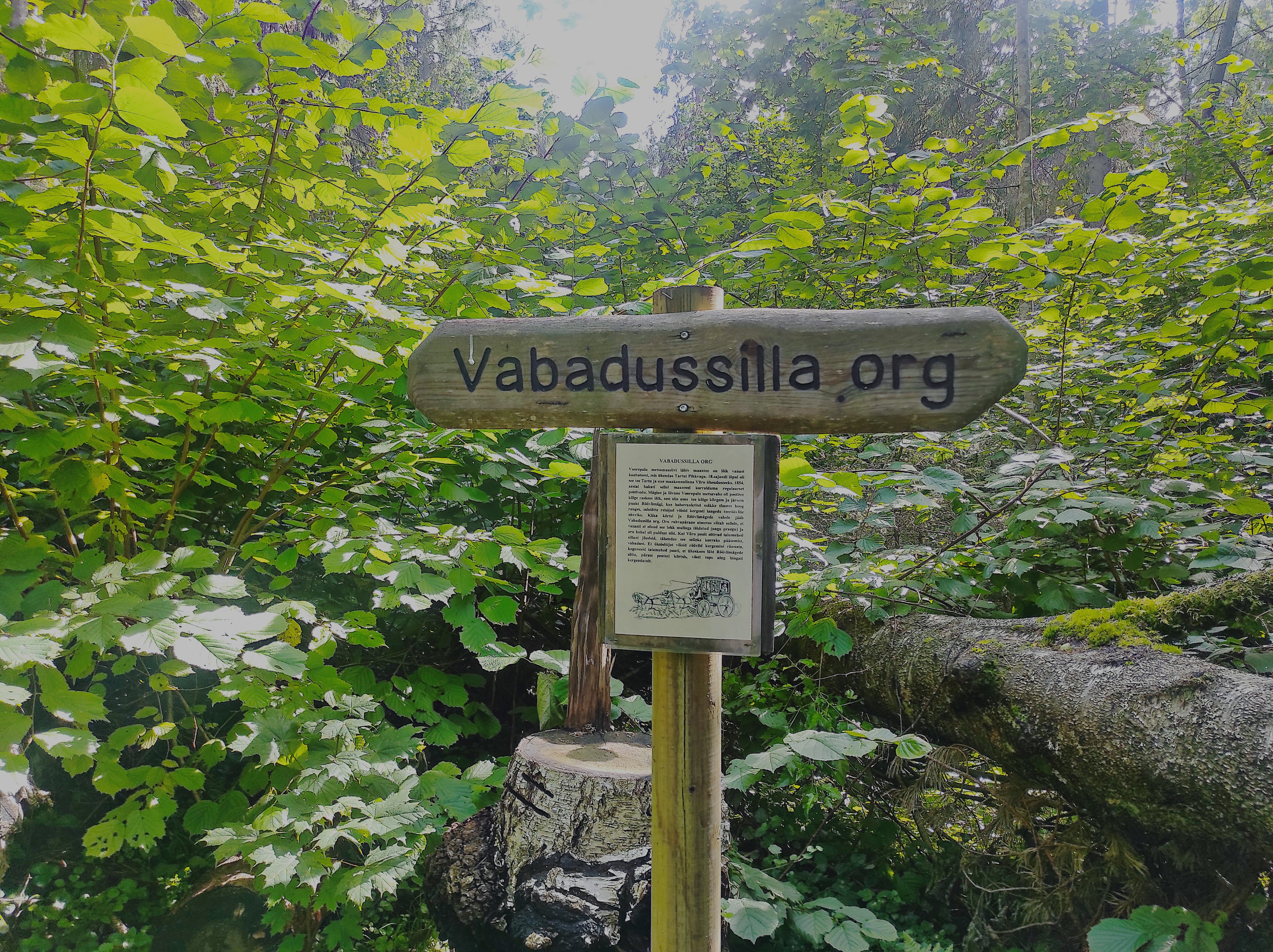Voorepalu Põrgurada