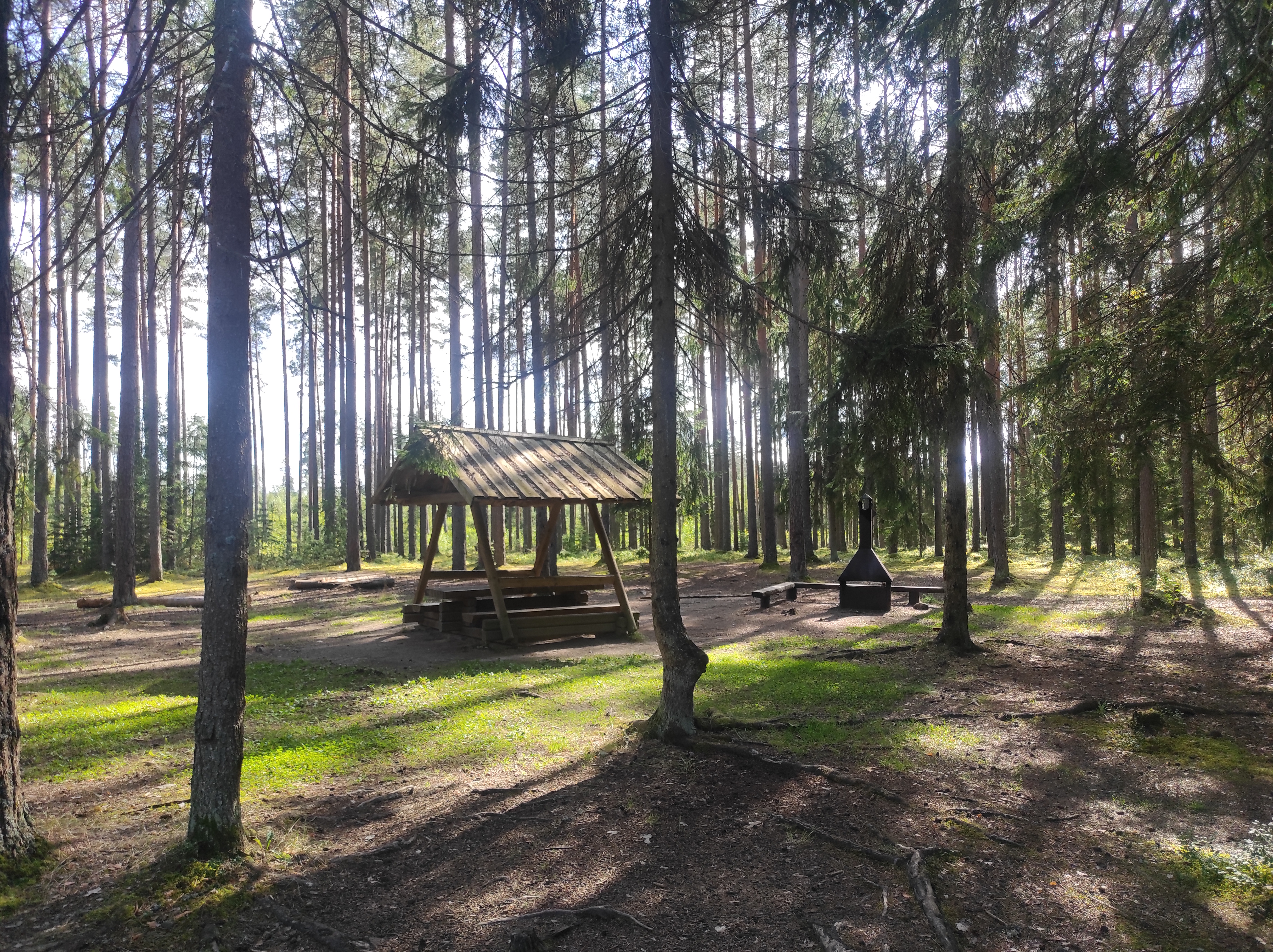 Palojärve telkimisala