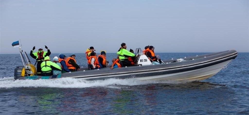 Meeressafari mit einem Festrumpfschlauchboot in der Bucht von Tallinn