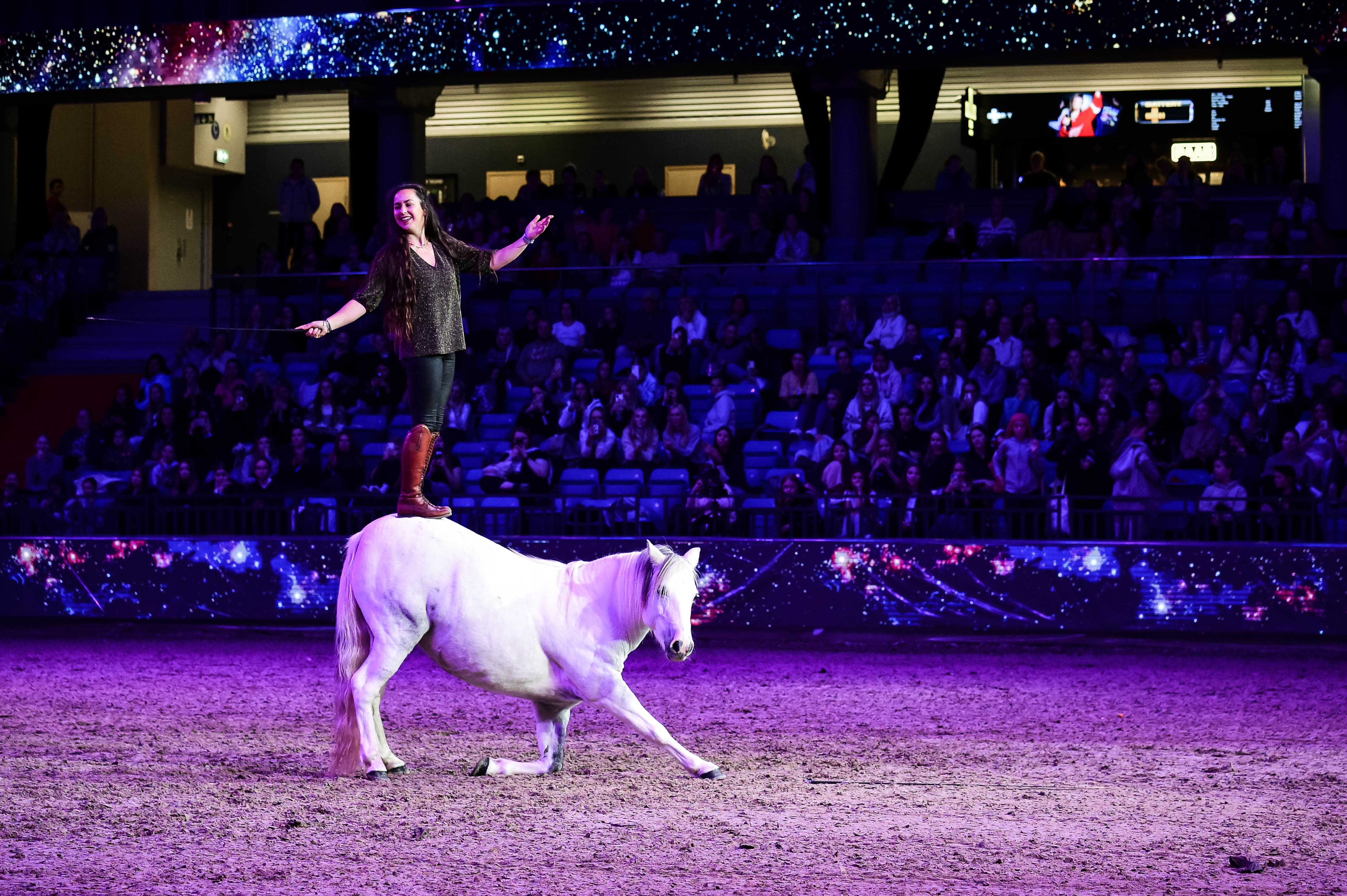 Wir laden Sie herzlich ein, das größte Reitsport-Event in Tallinn zu erleben – die Tallinn International Horse Show in der Unibet Arena. Drei Tage vol