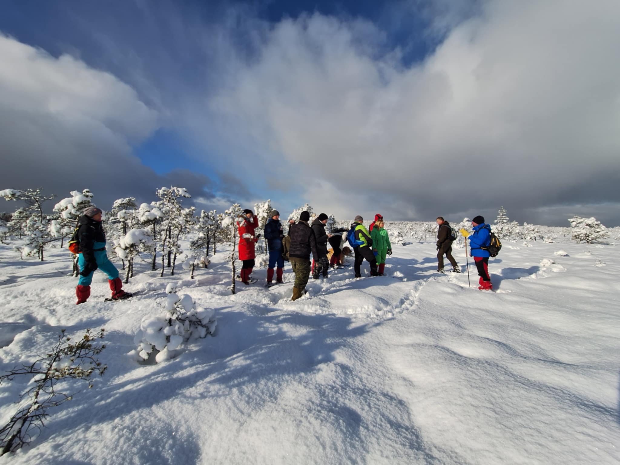 Snowshoe hikers in snowy Northern Kõrvemaa