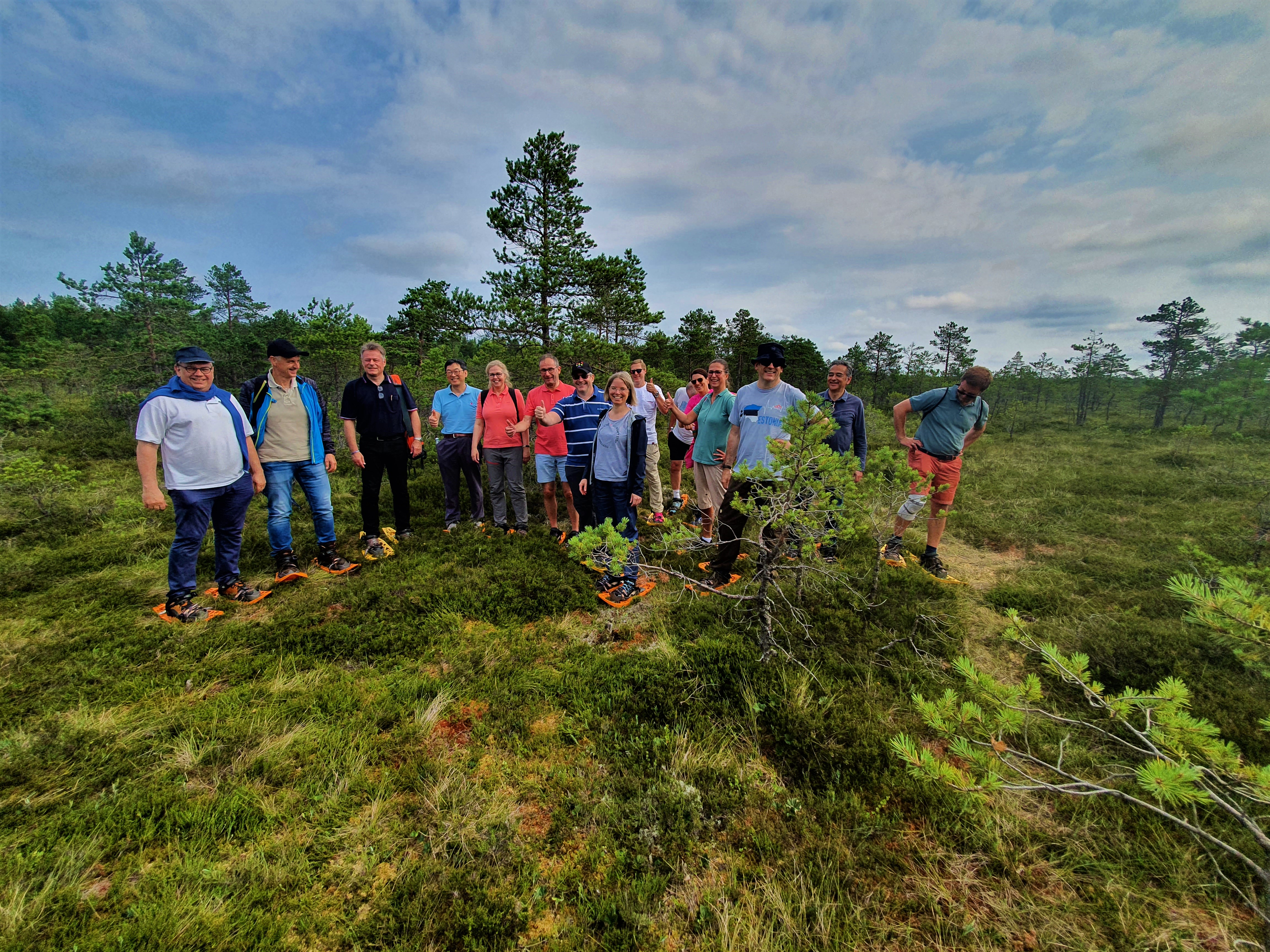 Snowshoe hikers in the summer in Põhja-Kõrvemaa