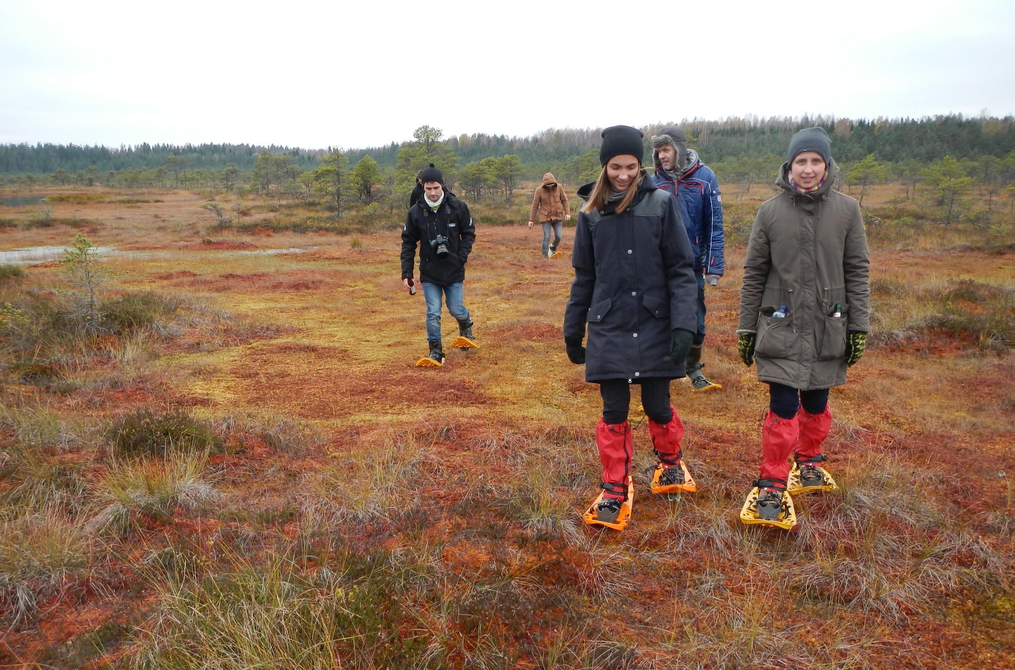 Snowshoeing in the autumn bog
