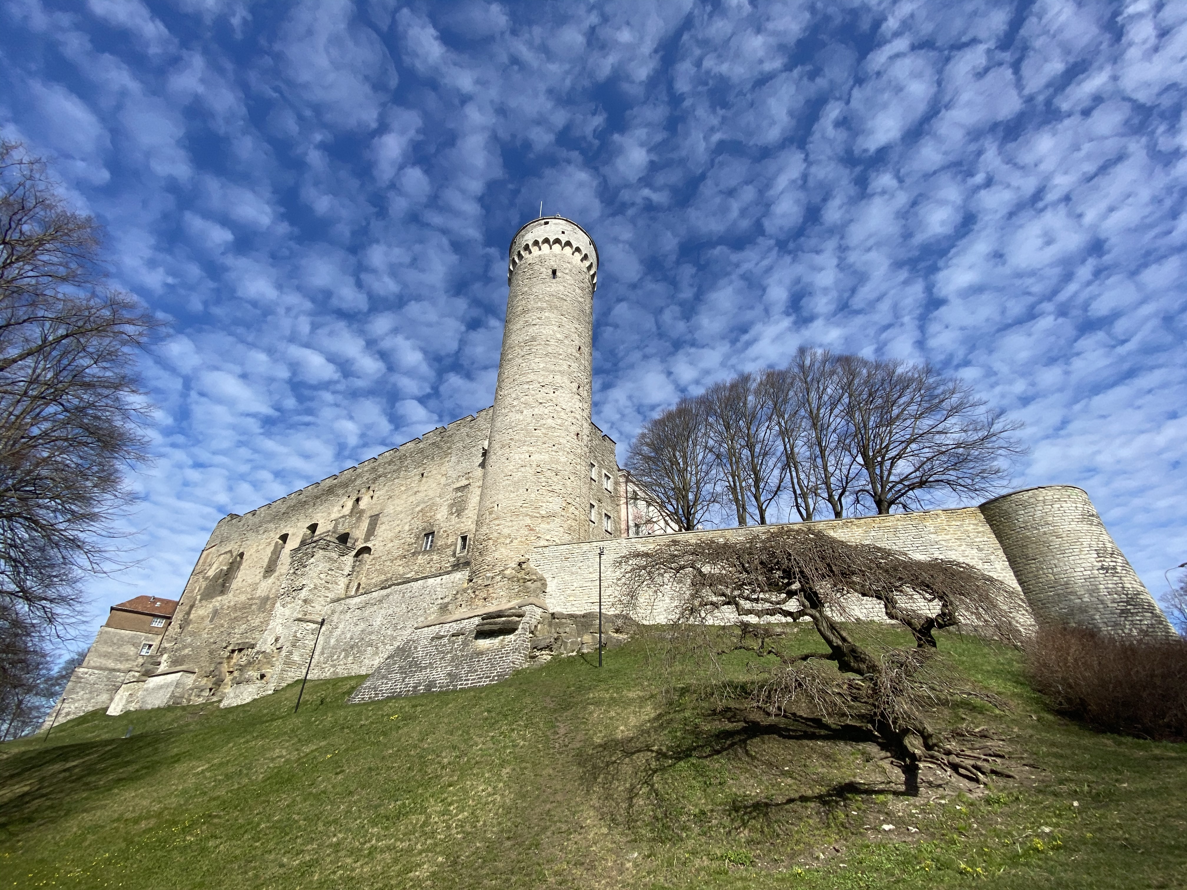 Vaade Pika Hermanni suunas.