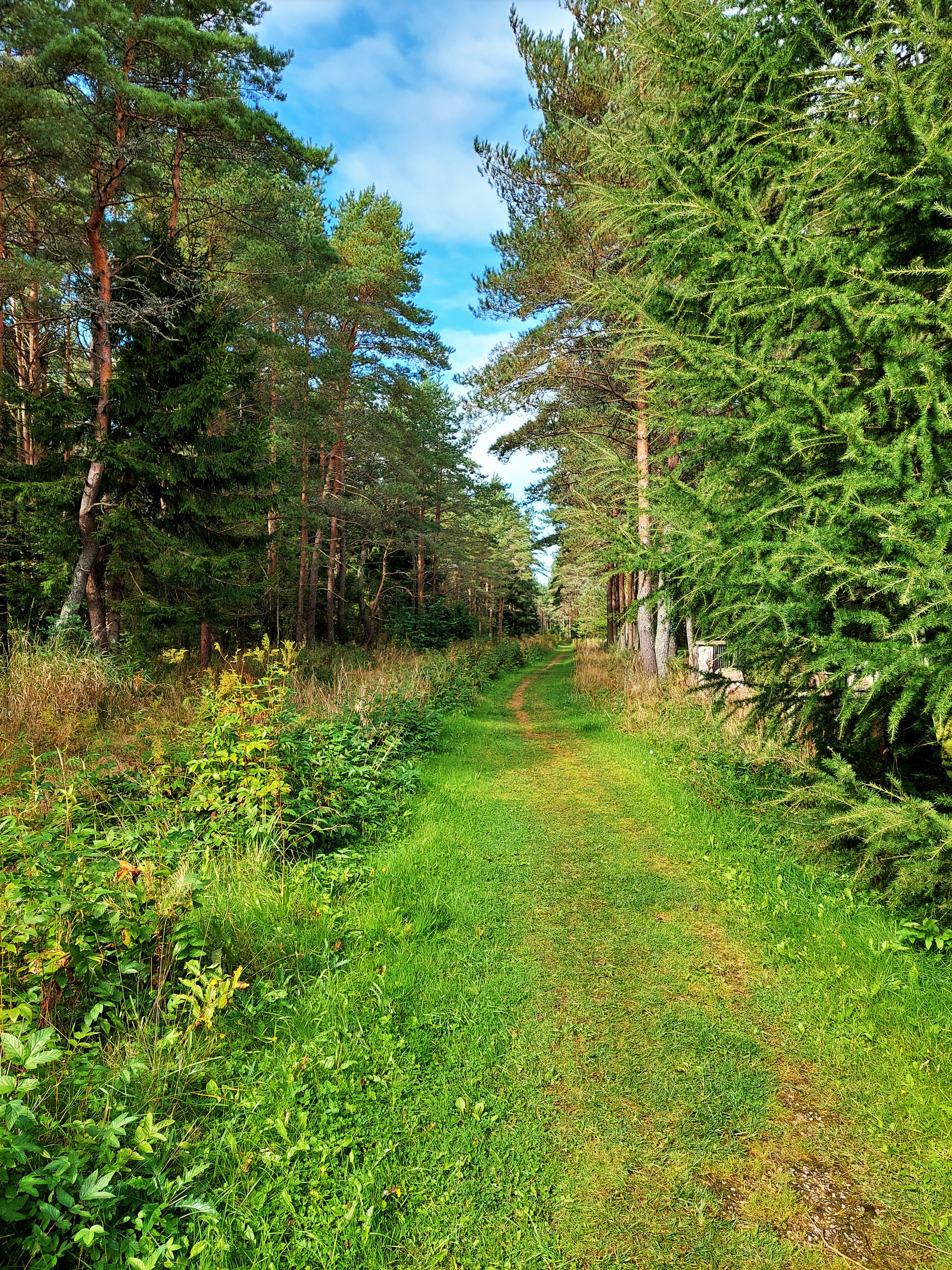 Kärdla matkarada