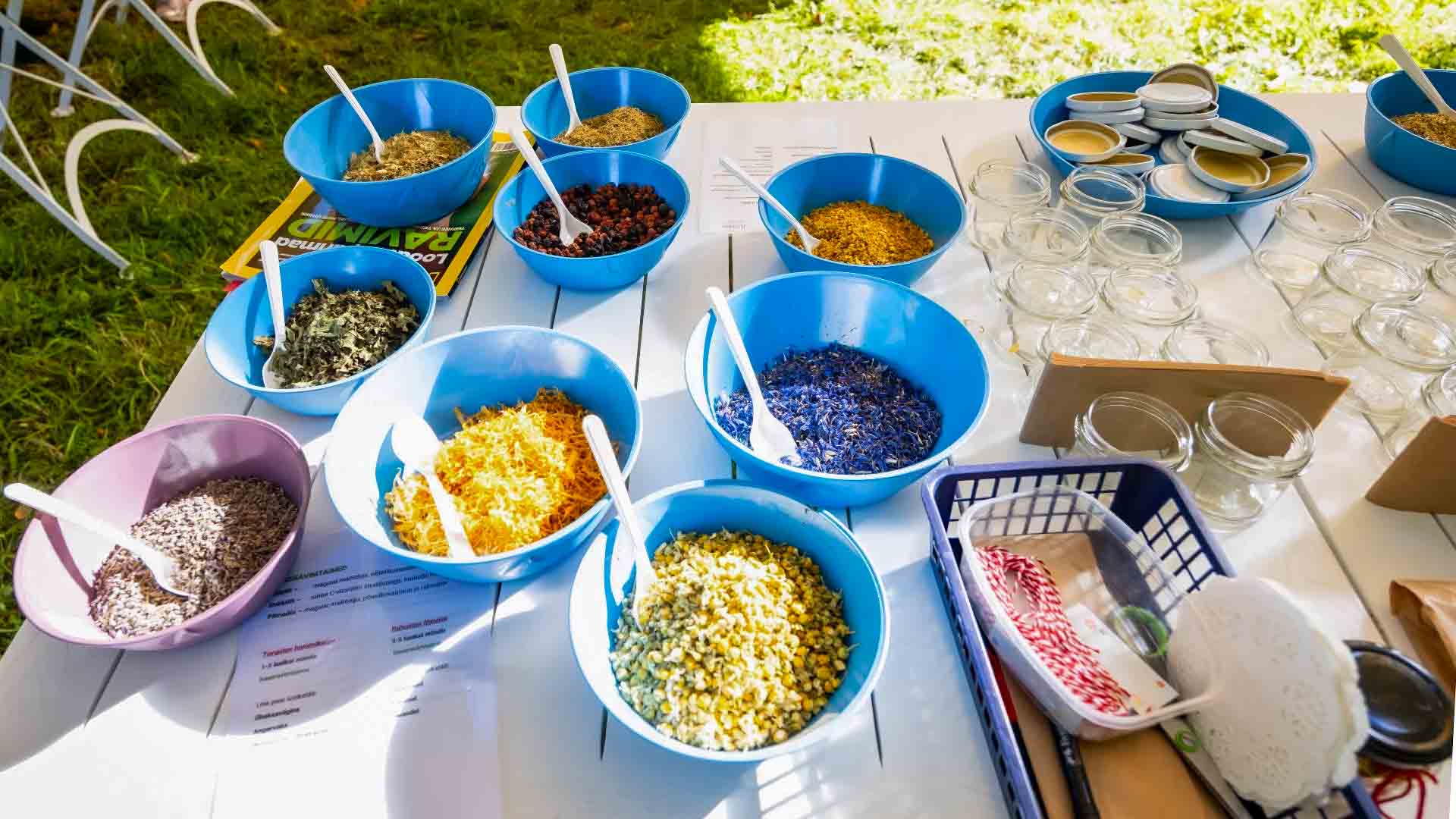 Tea blend preparation from dried plants from Estonian nature