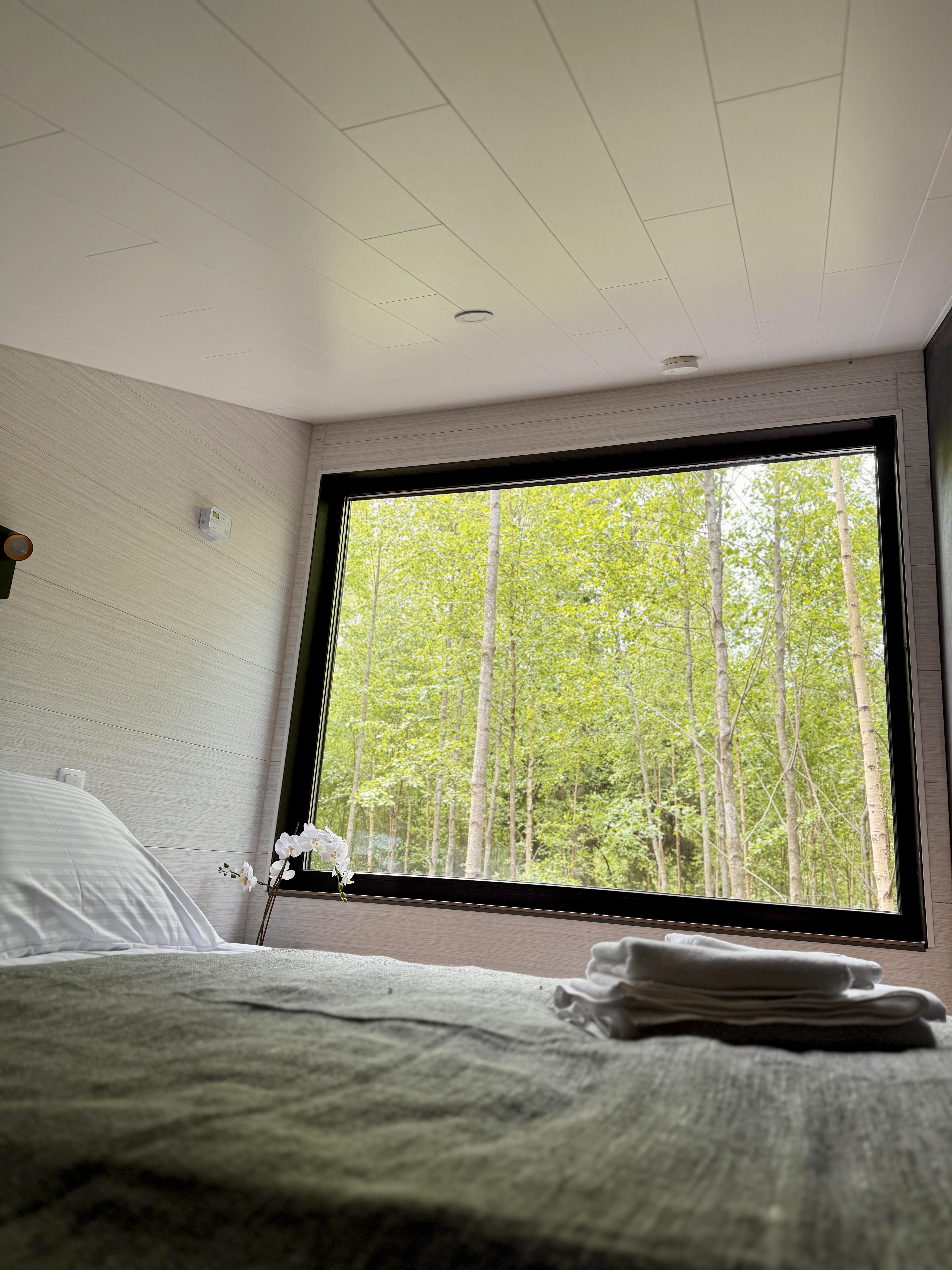 Mini-villa view from the bed directly into the forest