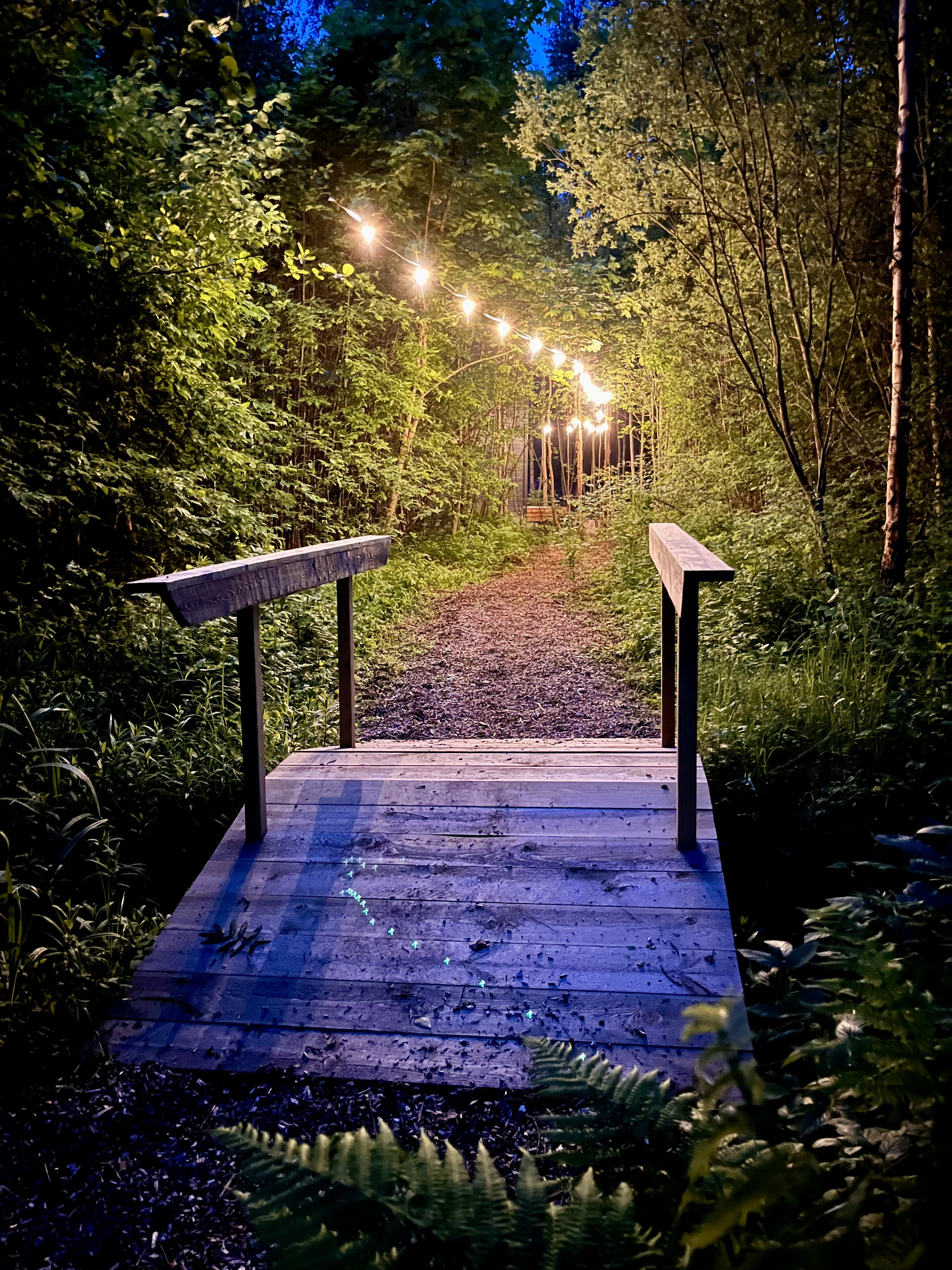 Romantic Midnight Vacation trail to the villa