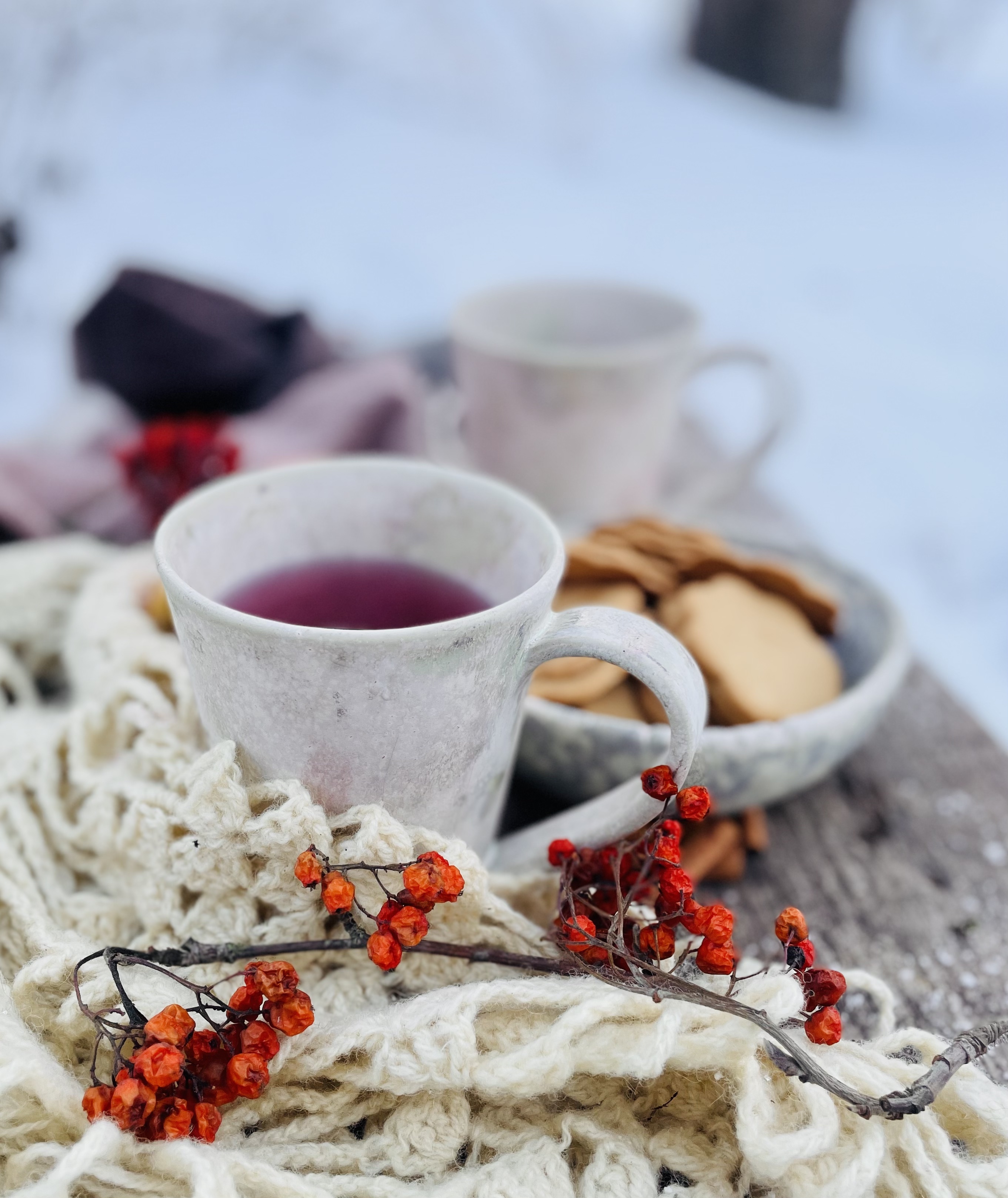 Talv, tee ja piparkoogid