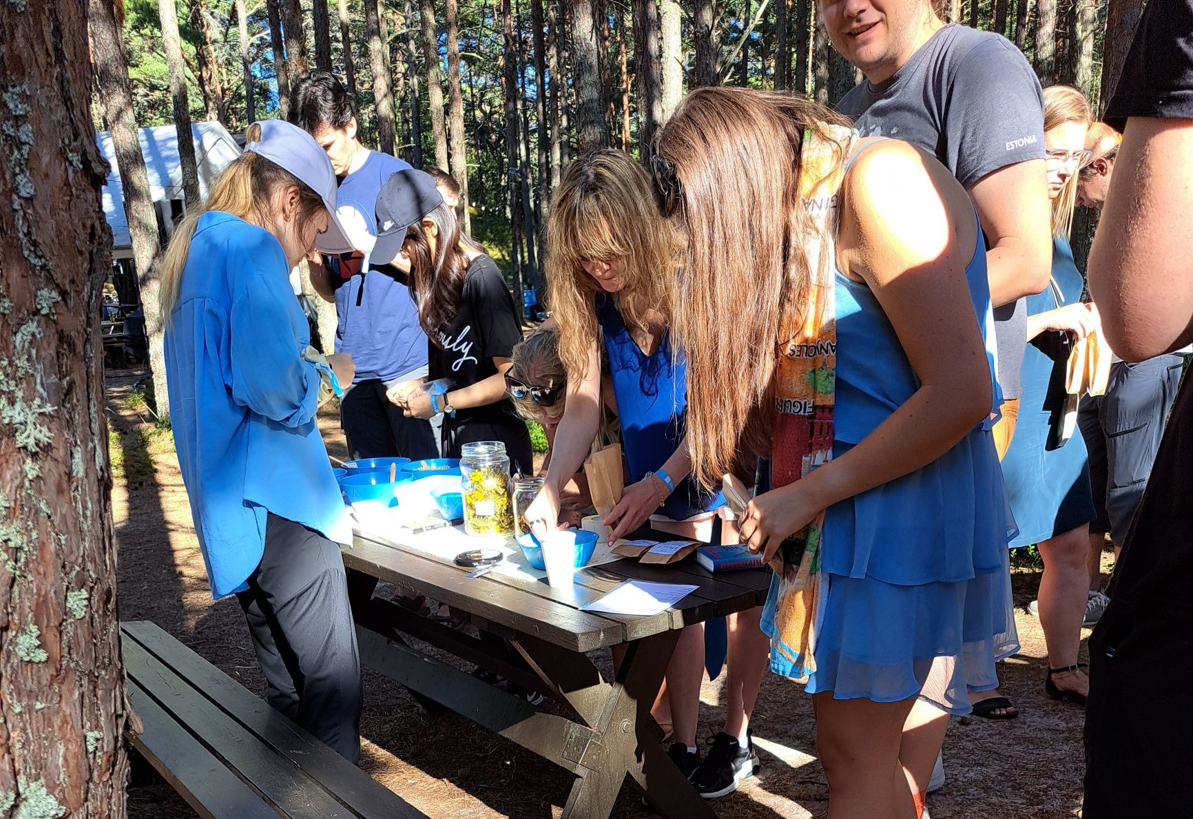 Workshop on wild plants in nature