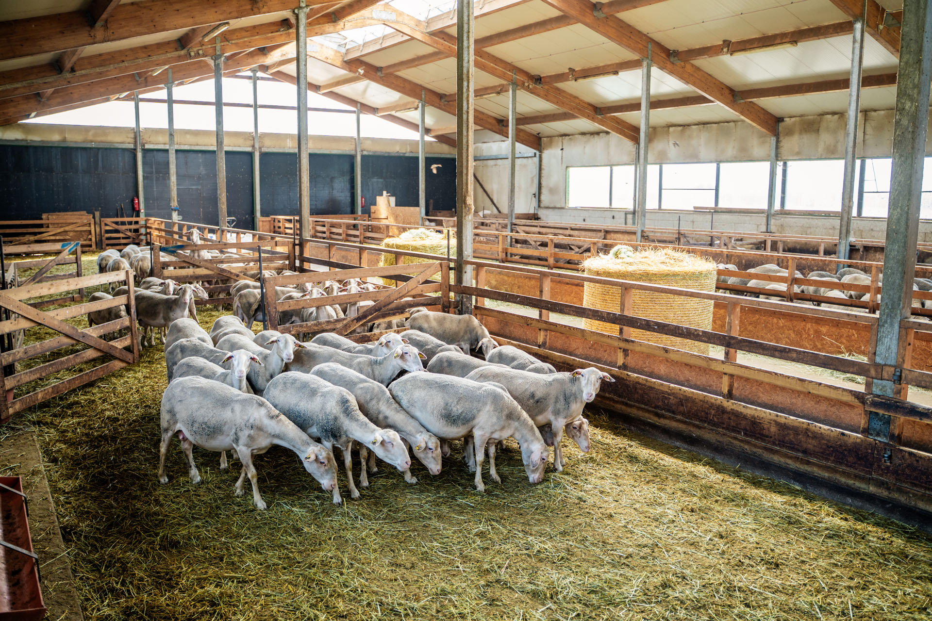 Tule tutvu tänapäevase Eesti talupidamisega ja farmidega