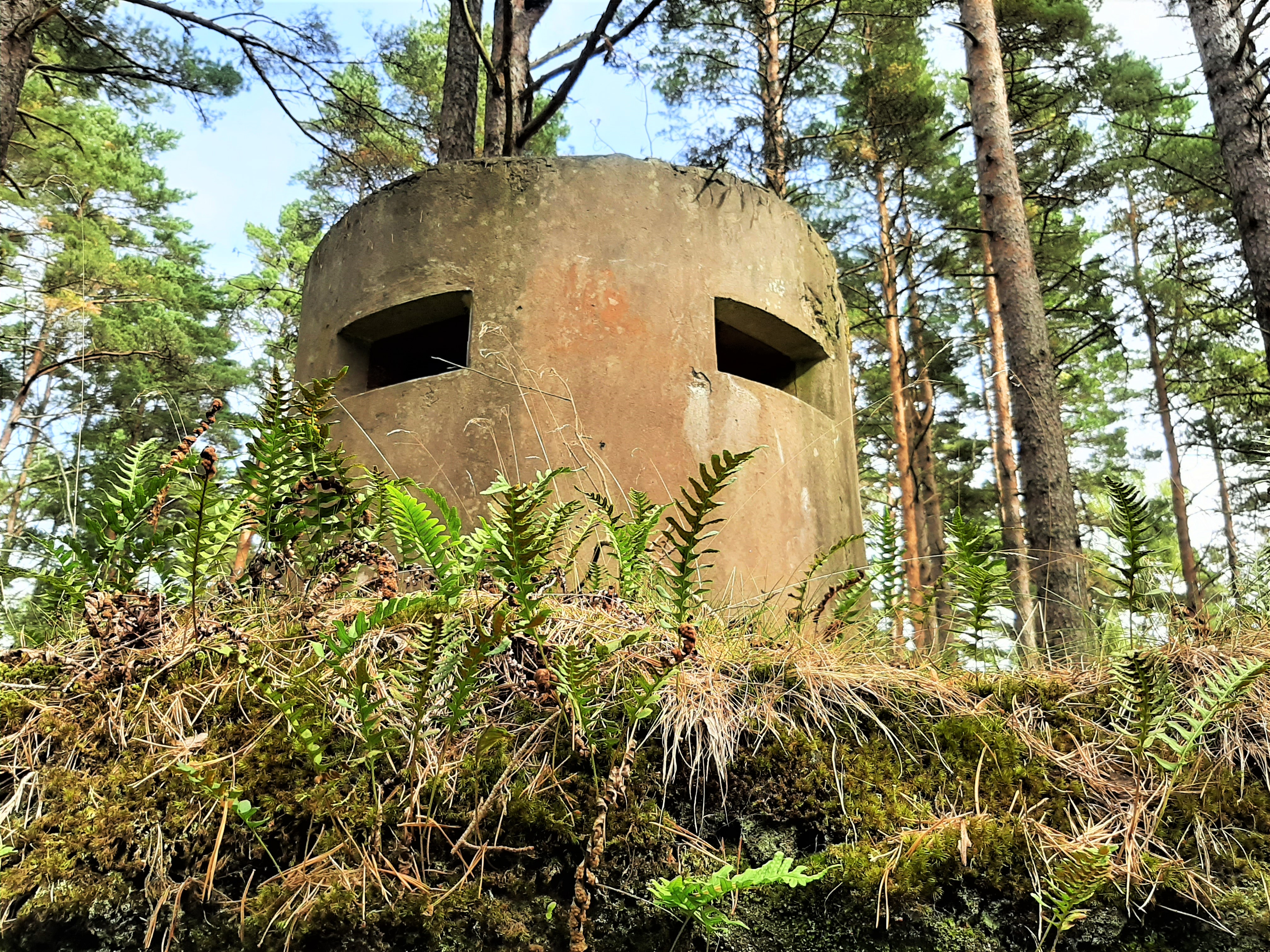 Tahkuna 130 mm rannapatarei