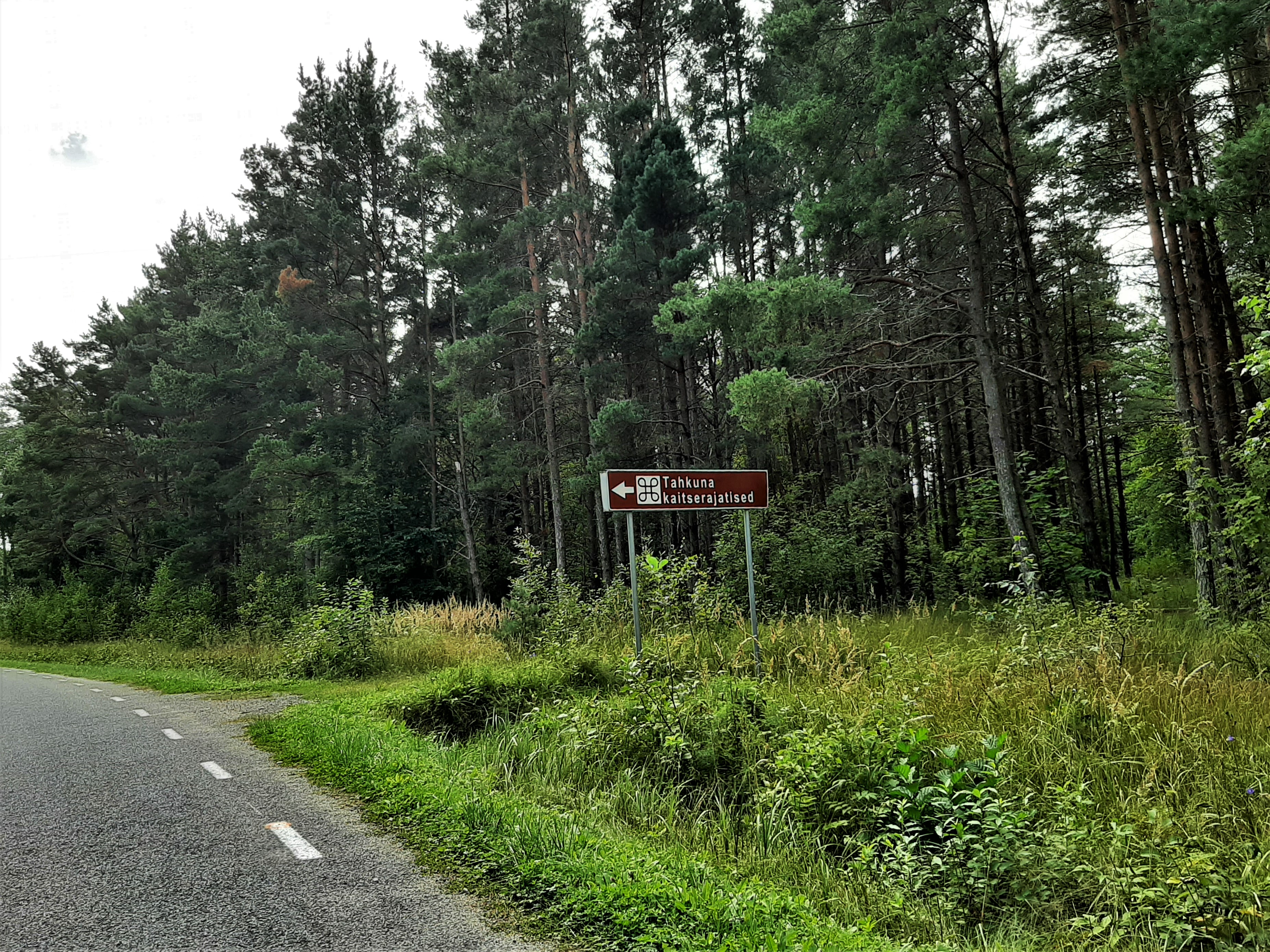 Suunaviit kaitserajatisteni