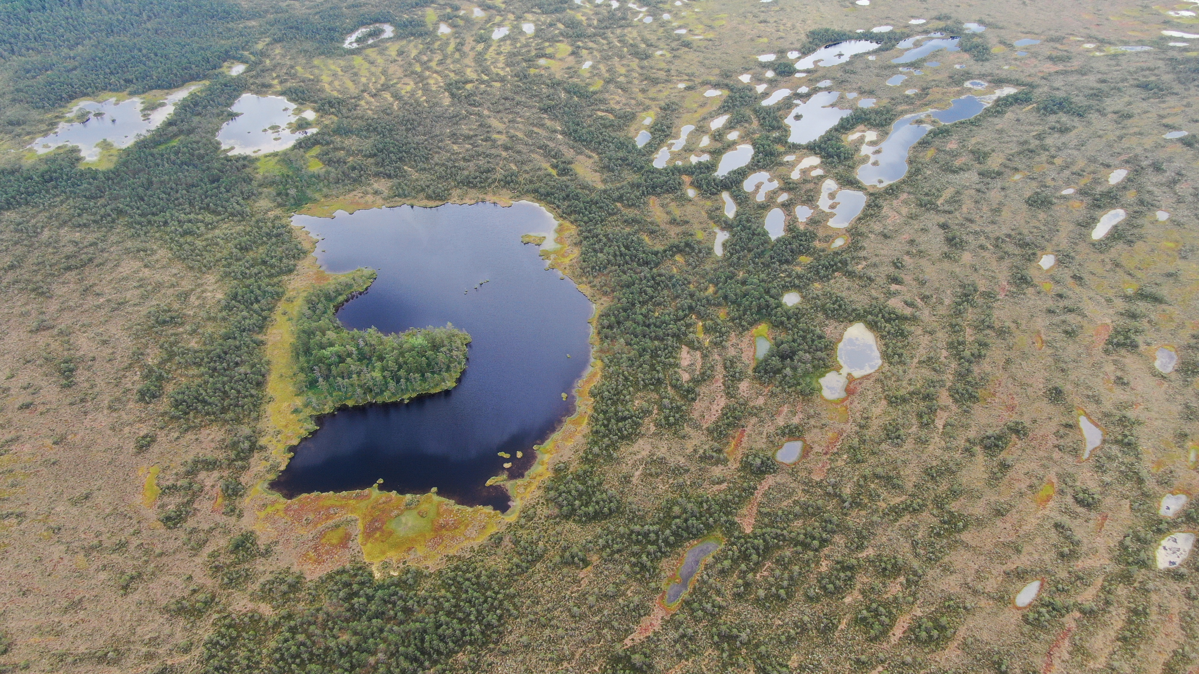 Juhendatud räätsamatk gruppidele Koitjärve rabas
