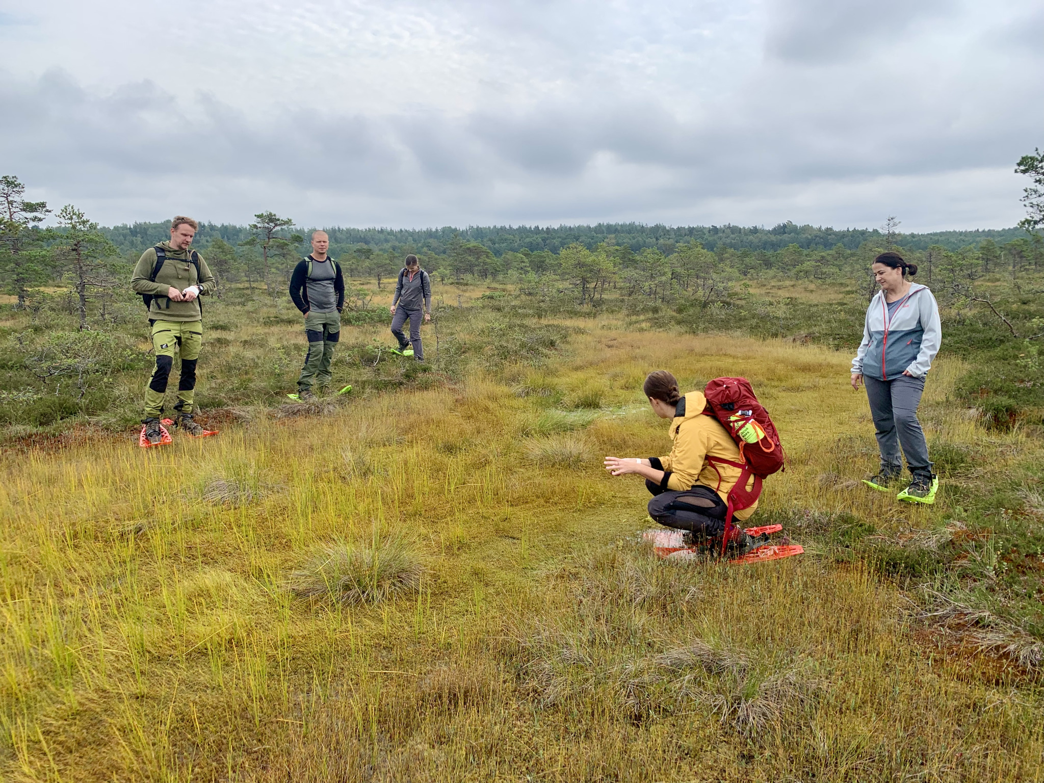 Juhendatud räätsamatk gruppidele Koitjärve rabas