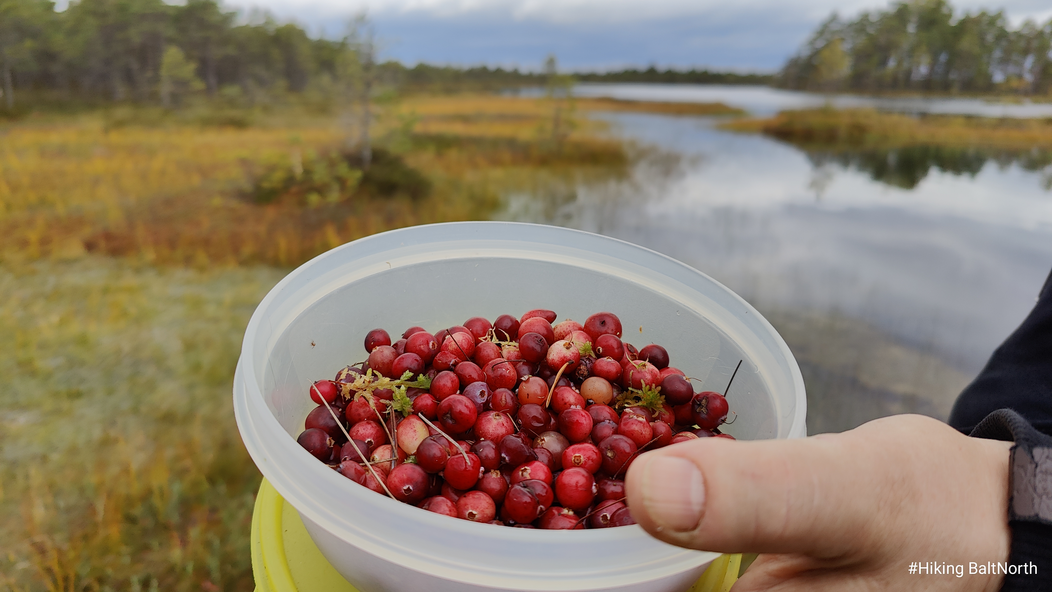 Juhendatud räätsamatk gruppidele Koitjärve rabas