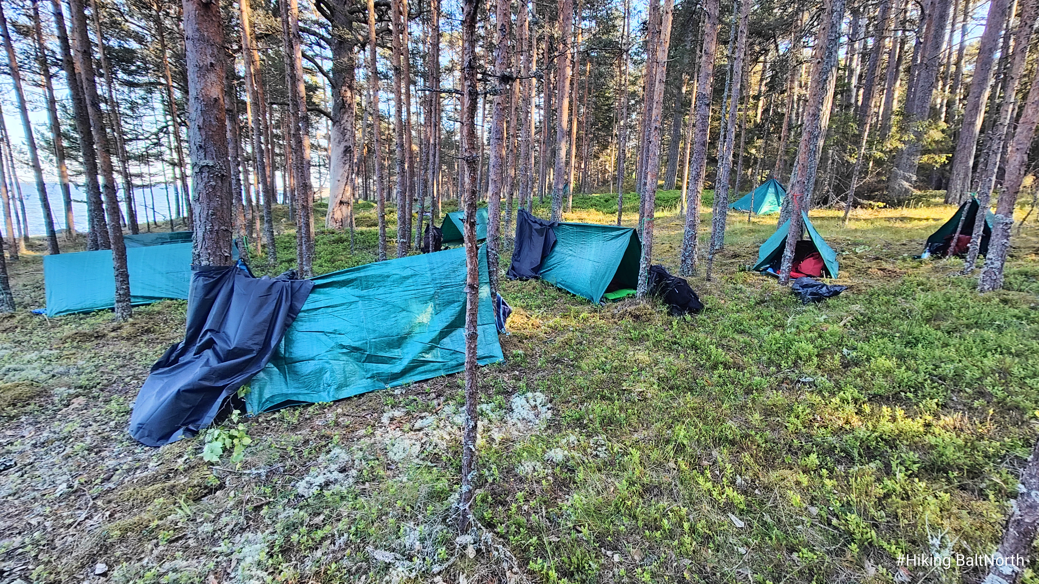 Tents at survival training