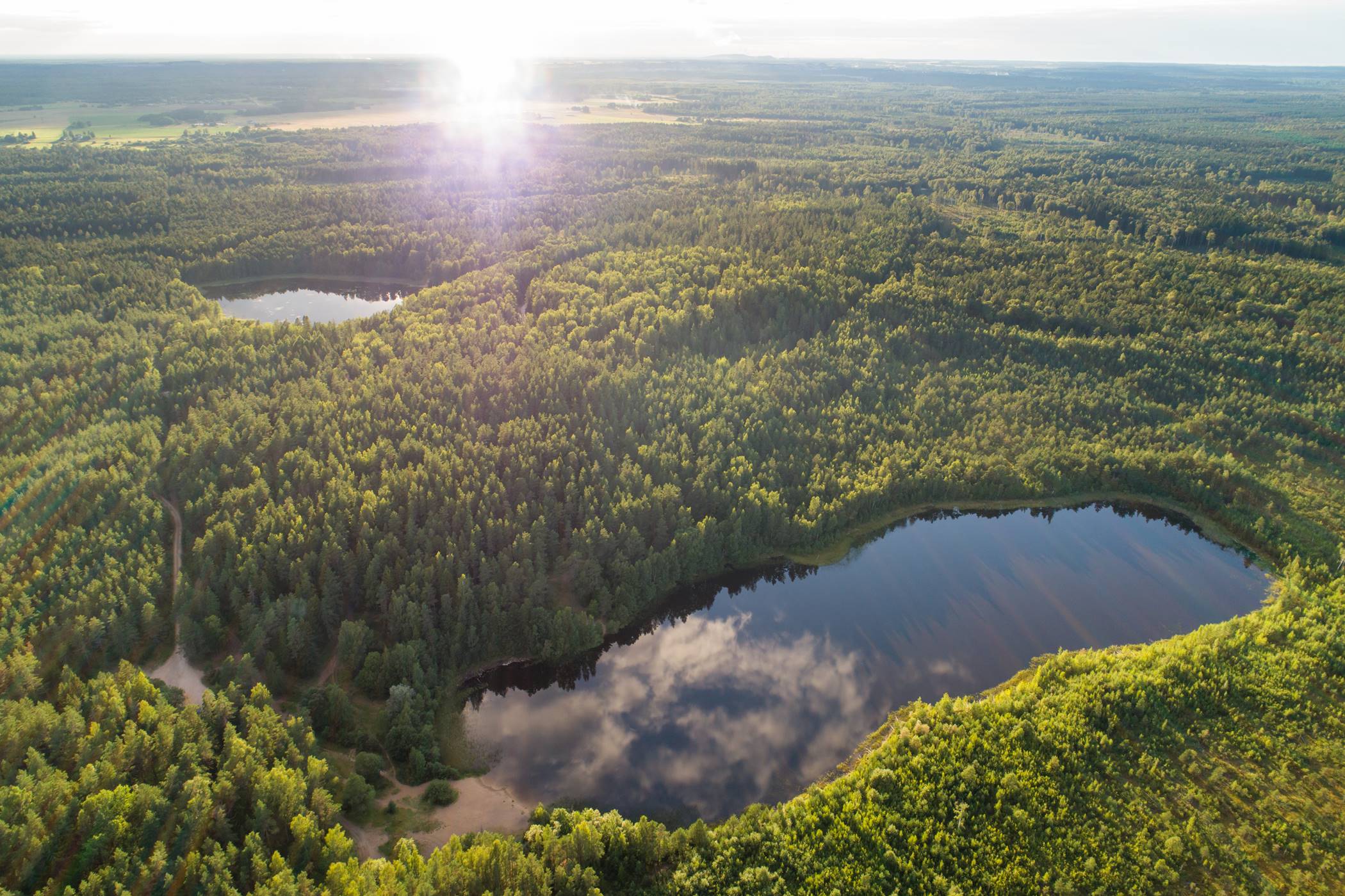 Kutrna järvestik Ida-Virumaal linnulennult