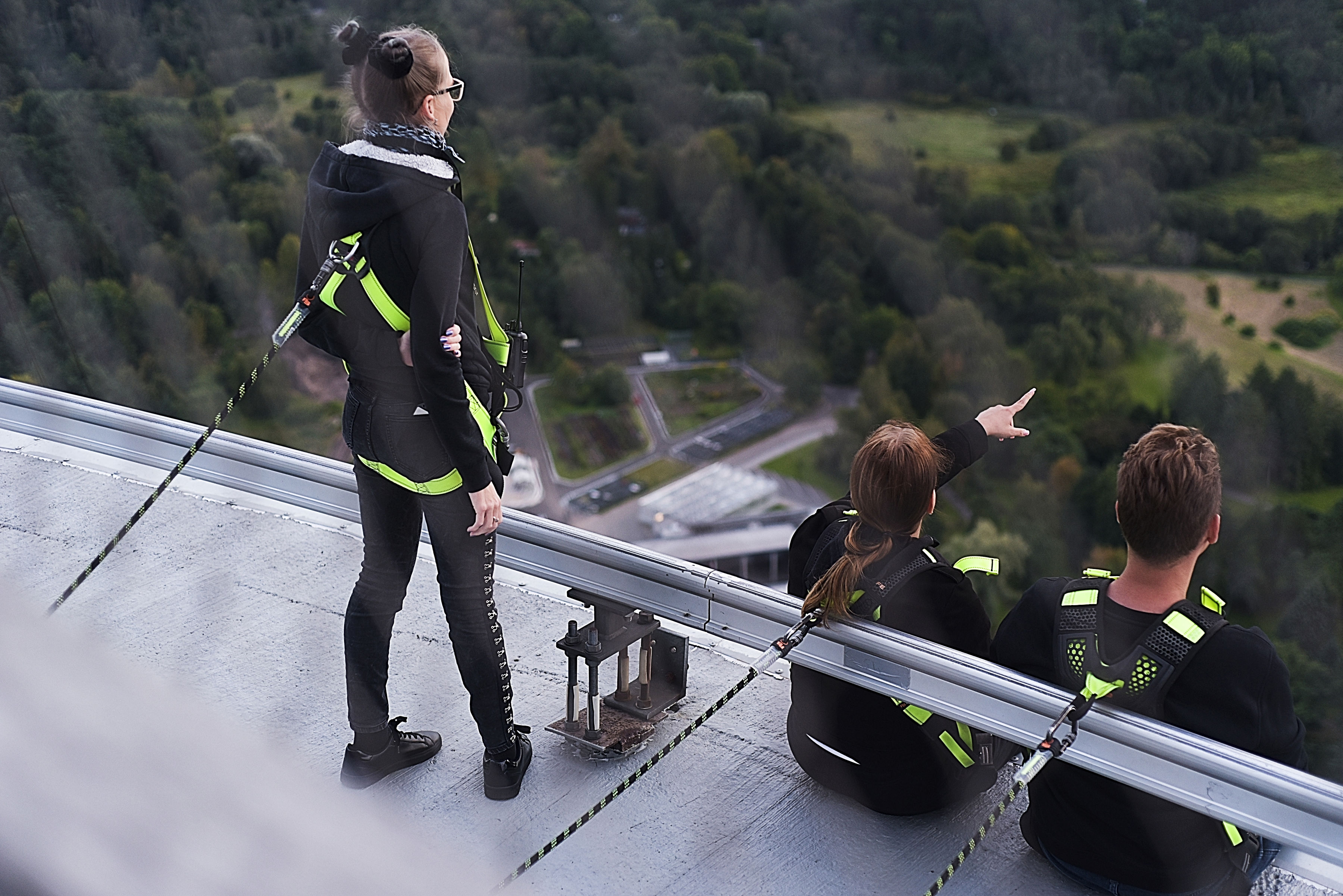 Servalkõnd päikeseloojangusse