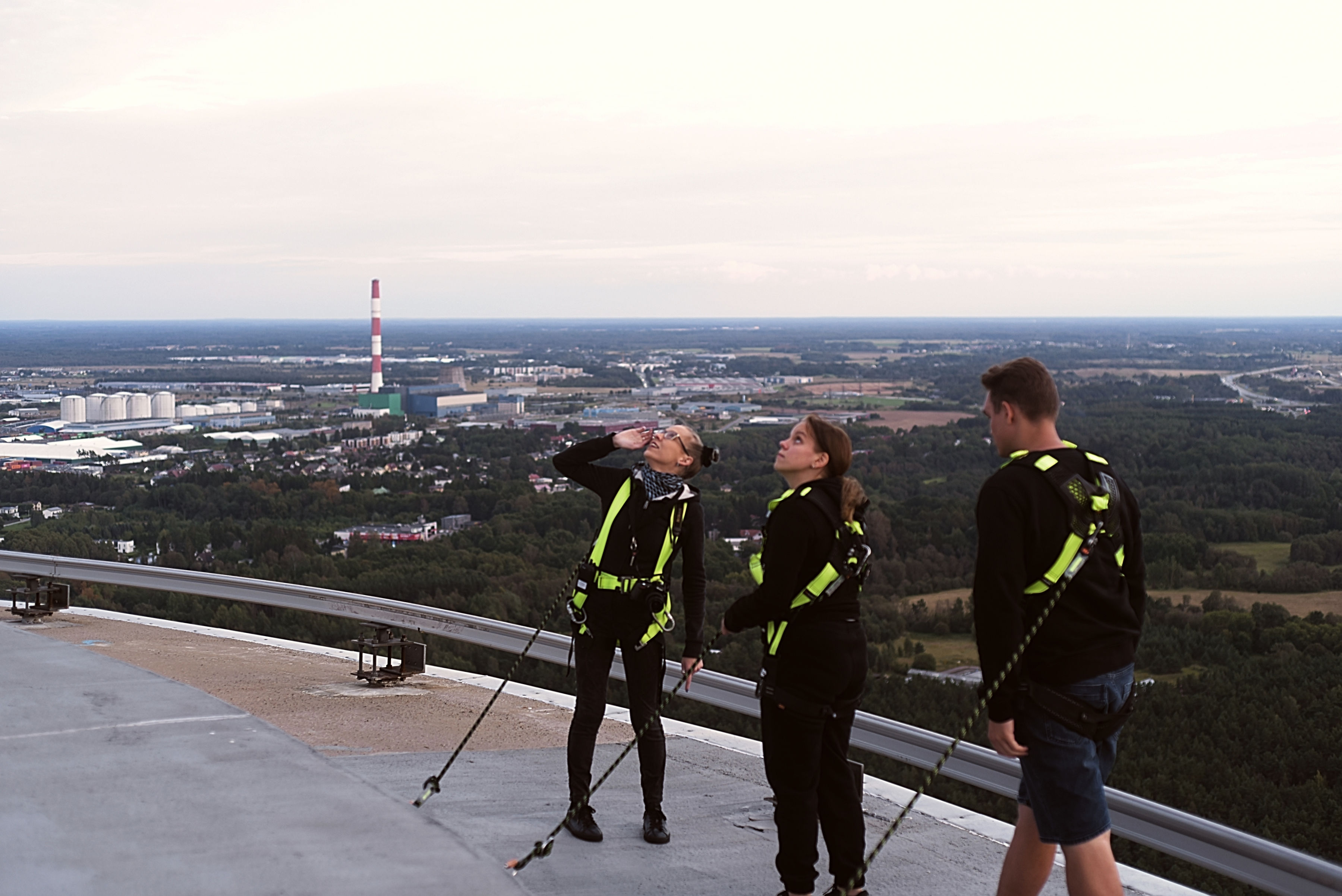 Servalkõnd päikeseloojangusse