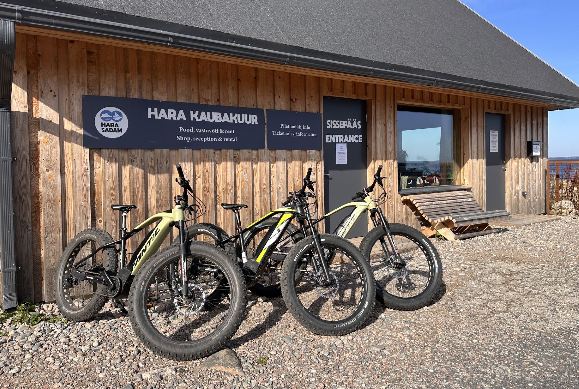 Fat bike bicycle rental at Hara harbor