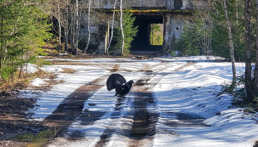 Retk Rohus raketi jälgedel