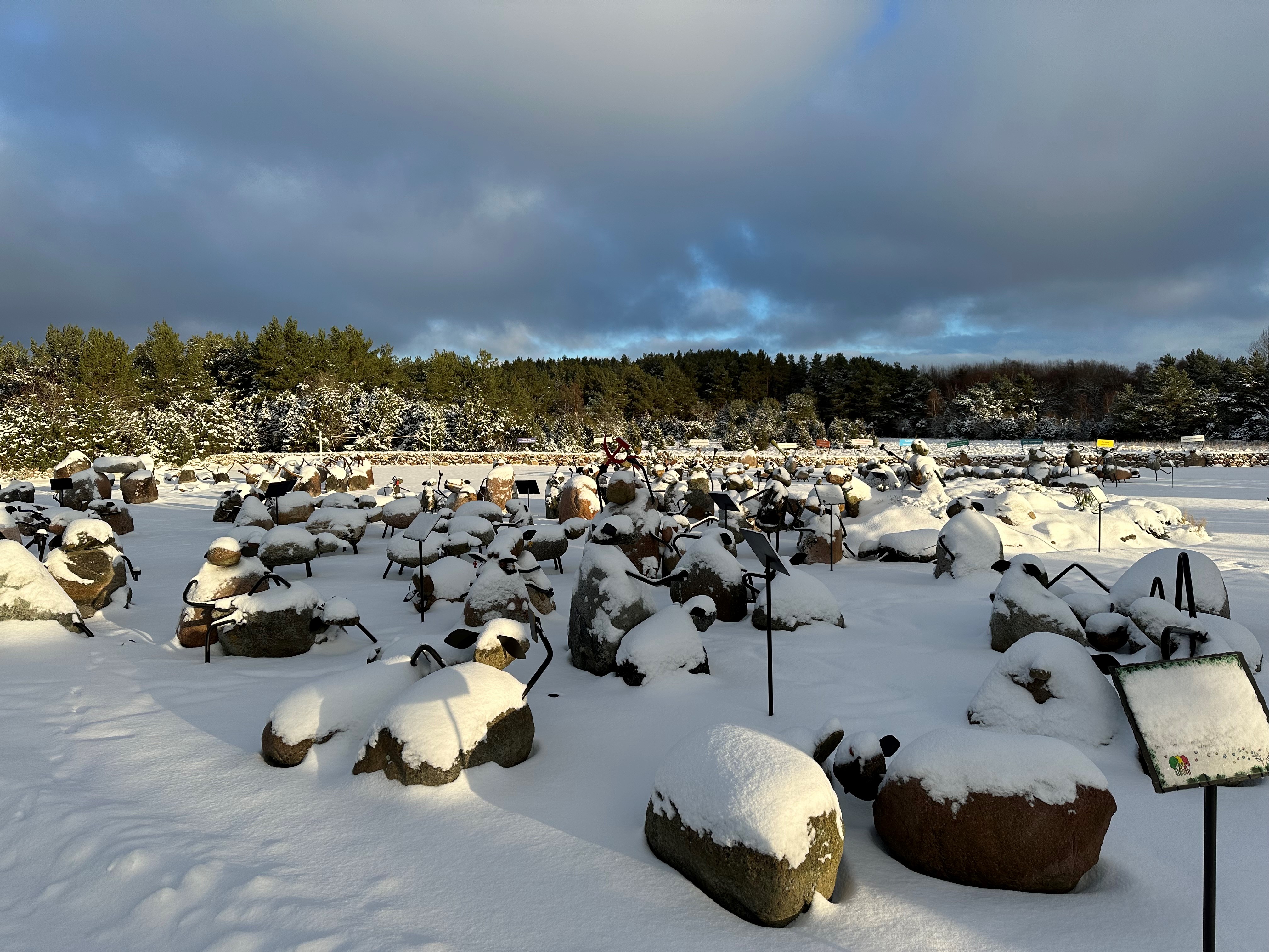 Lambakogu talvepäevad Saaremaal