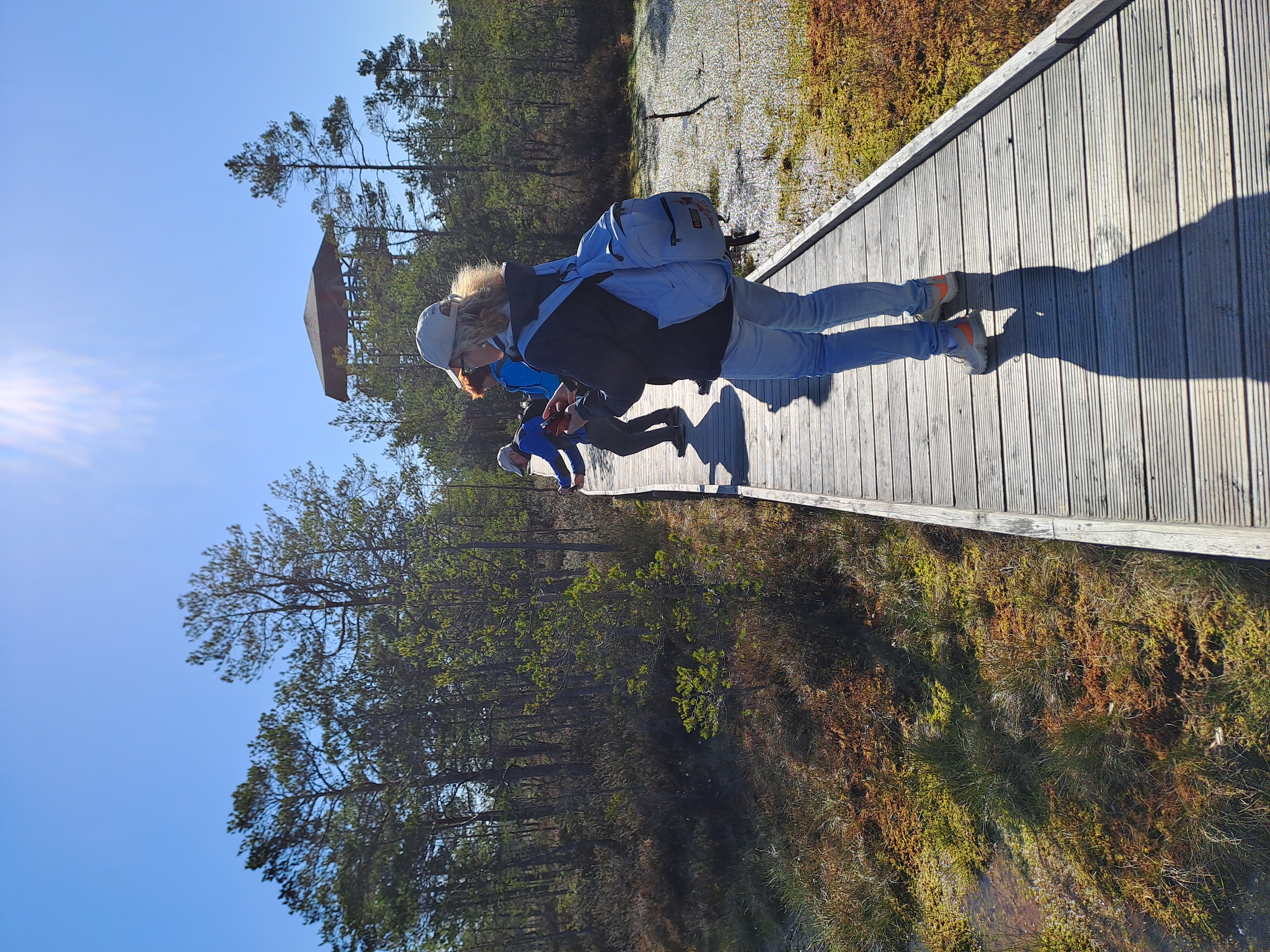 My childhood home is located in this neck of the woods. Even though there was no hiking trail in Viru bog at the time, our family often came here to p